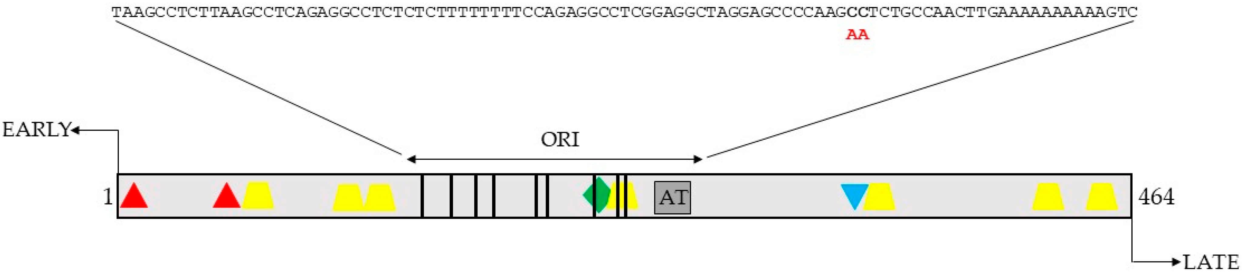 Ijms 24 00895 g003 Ijms 24 00895 g003