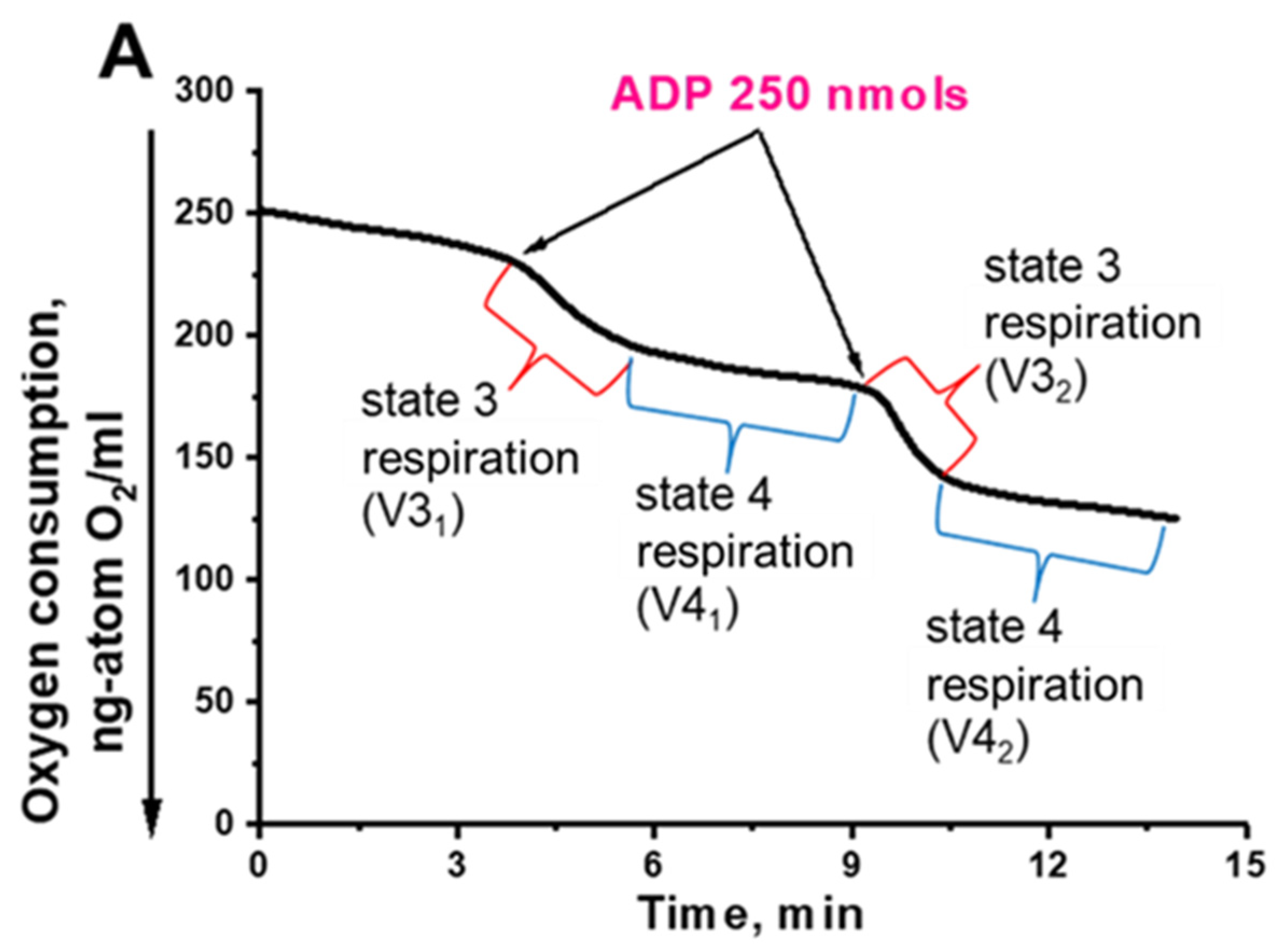 Ijms 24 00900 g004a Ijms 24 00900 g004a