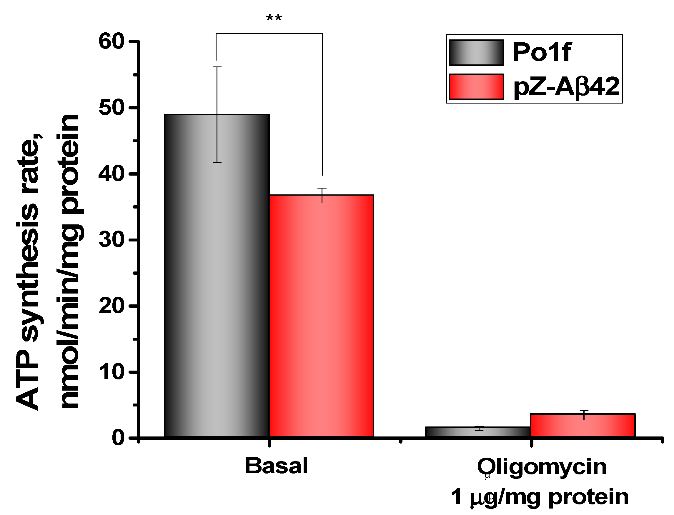 Ijms 24 00900 g007 Ijms 24 00900 g007