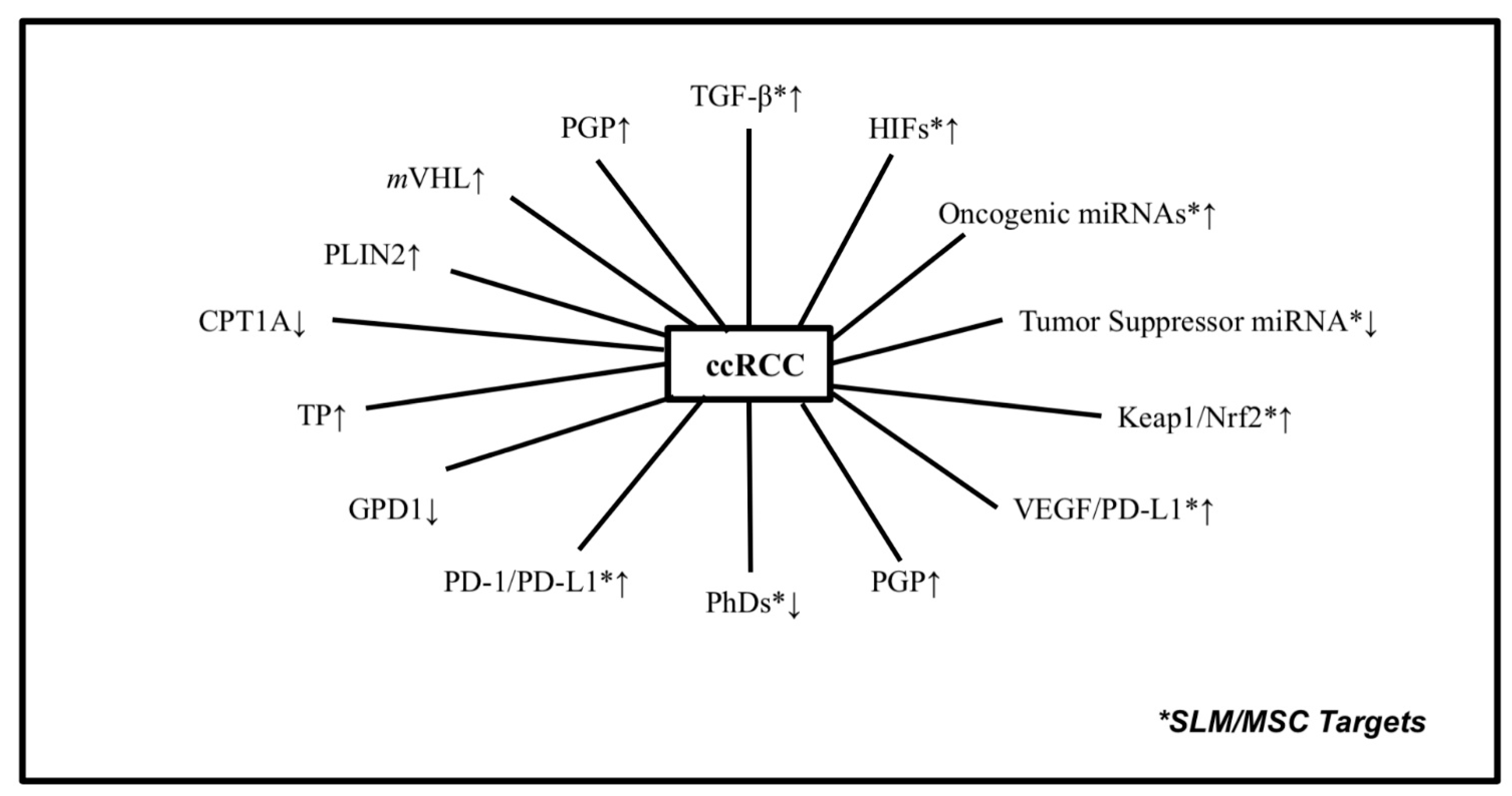 Ijms 24 00902 g001 Ijms 24 00902 g001