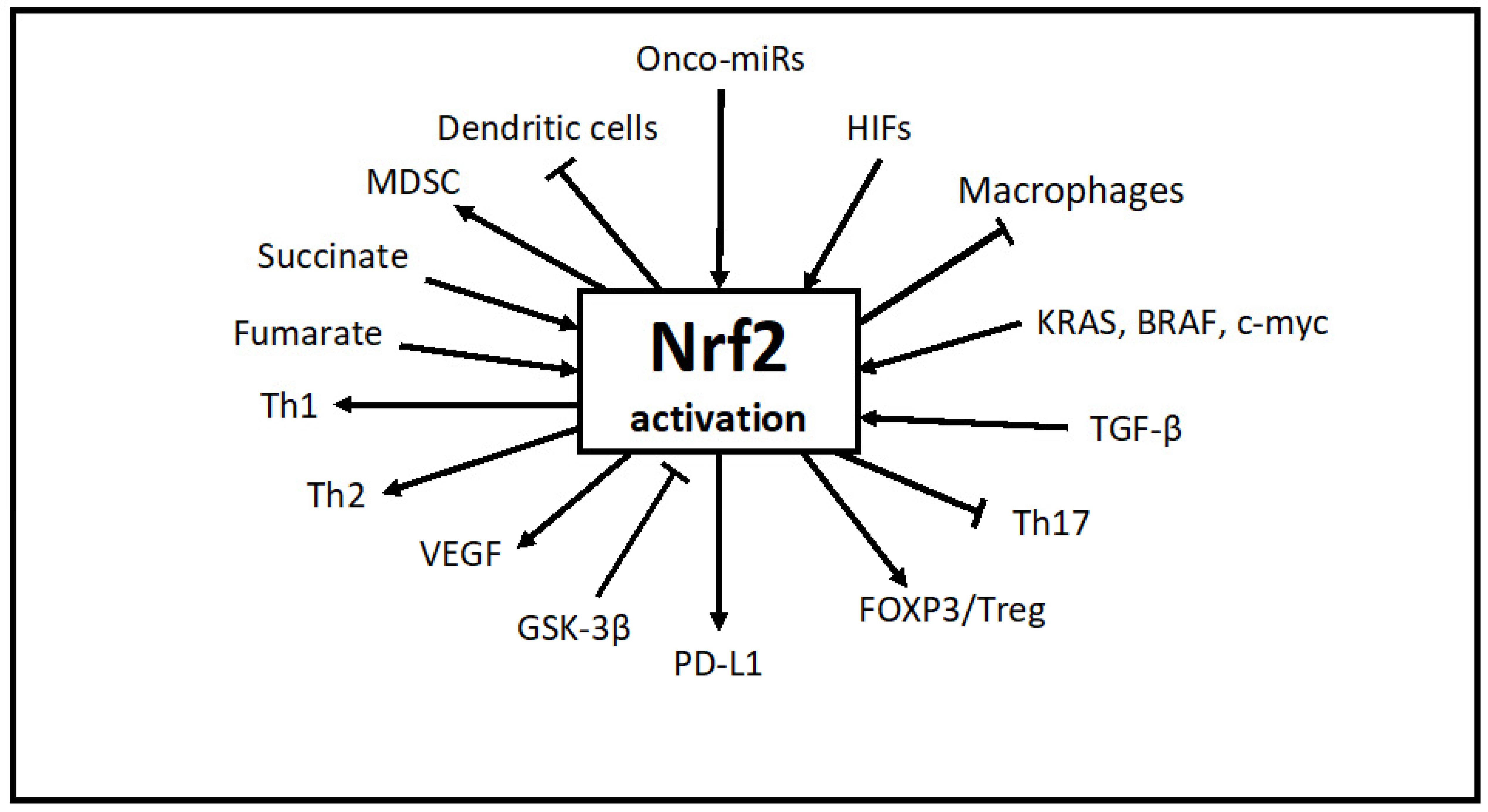 Ijms 24 00902 g003 Ijms 24 00902 g003