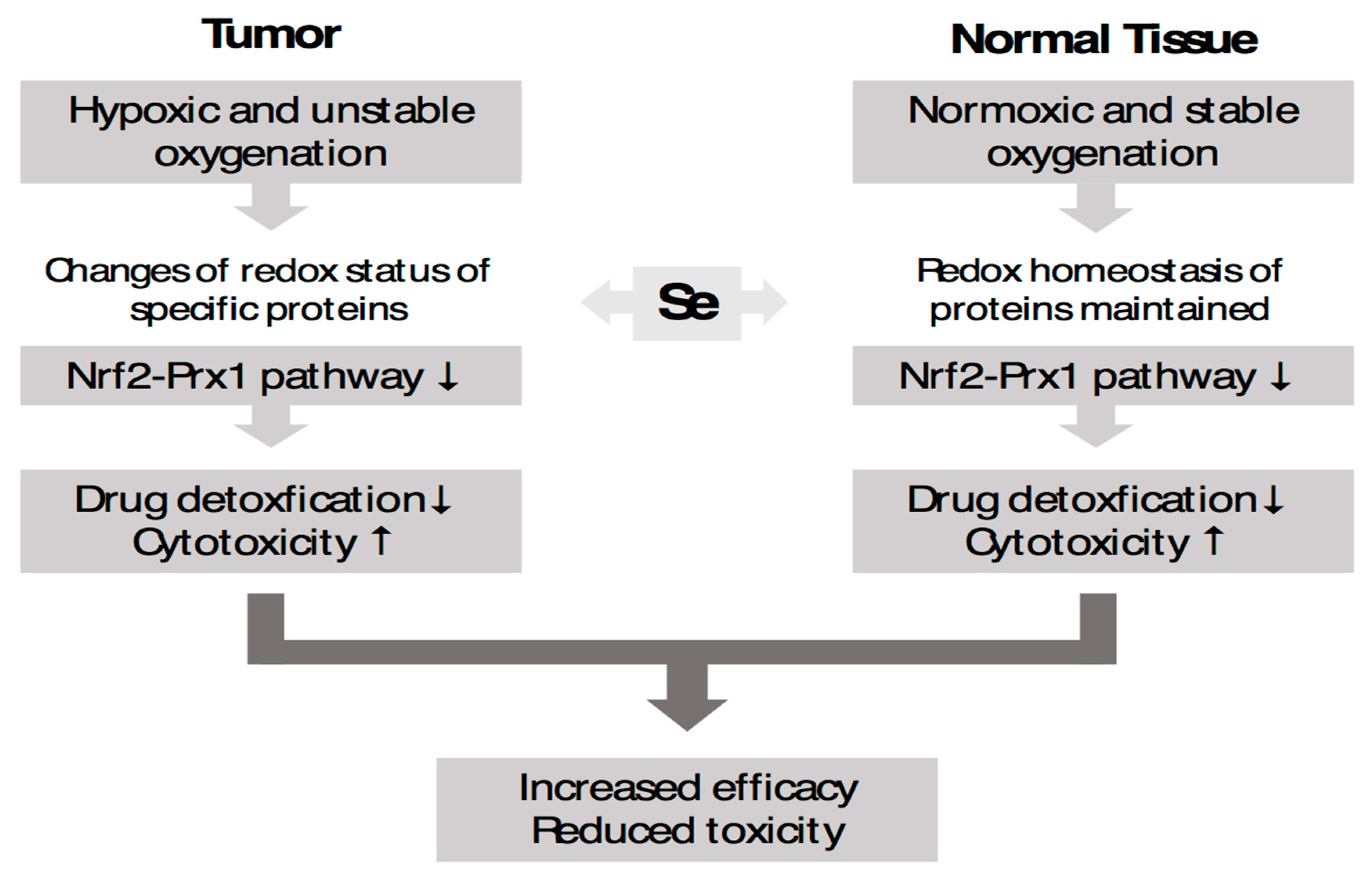 Ijms 24 00902 g004 Ijms 24 00902 g004