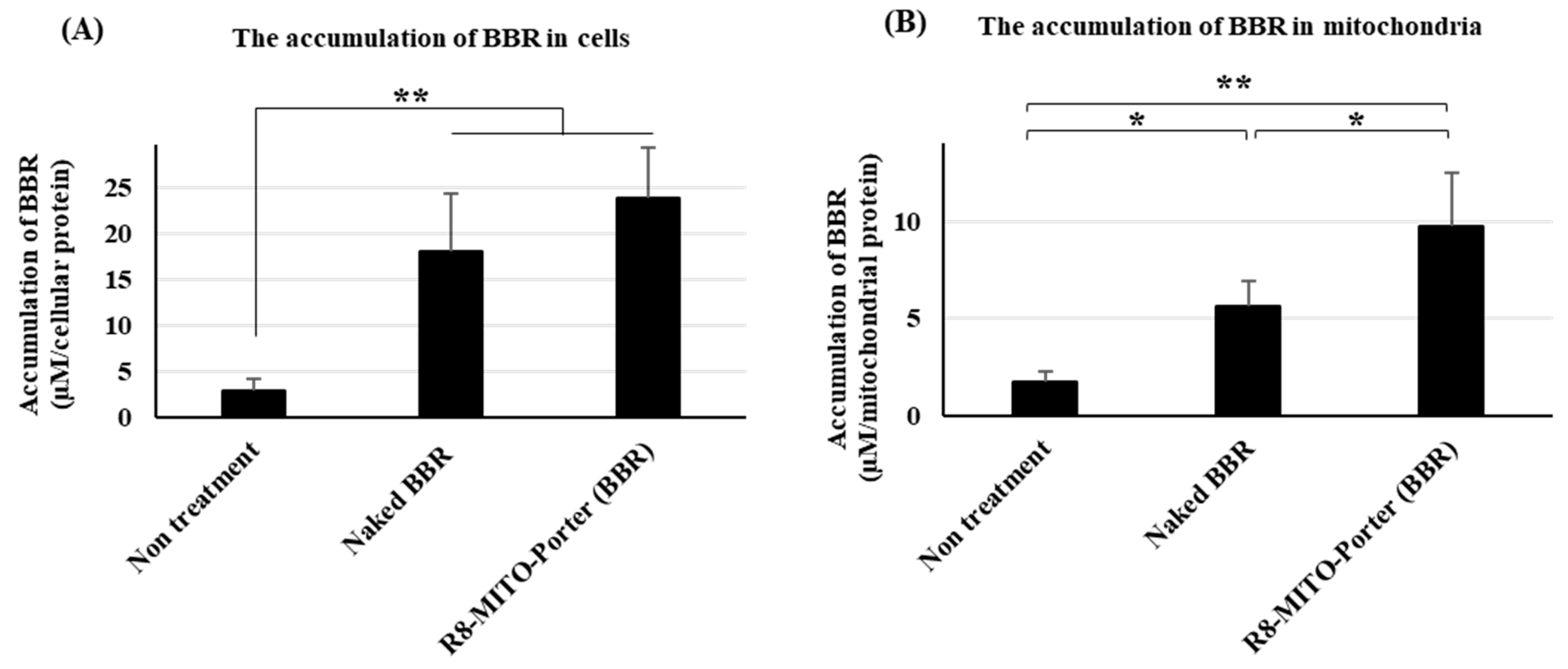 Ijms 24 00903 g003 Ijms 24 00903 g003