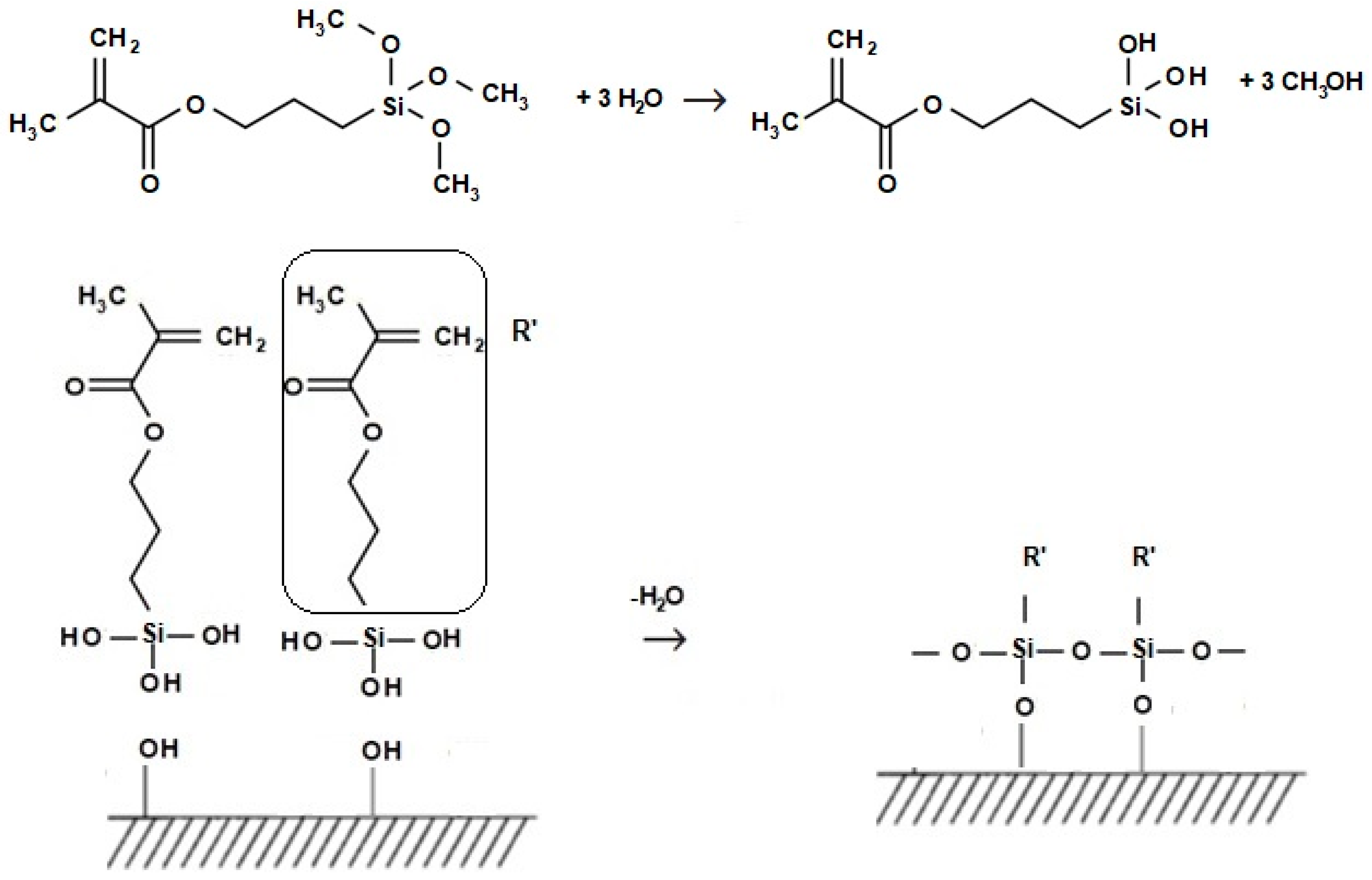 Ijms 24 00909 g006 550