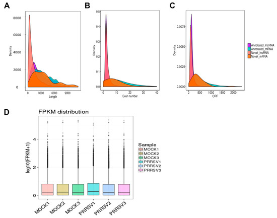 Genome-Wide mRNA and Long Non-Coding RNA Analysis of Porcine
