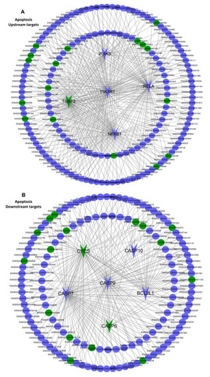 Genome-Wide mRNA and Long Non-Coding RNA Analysis of Porcine