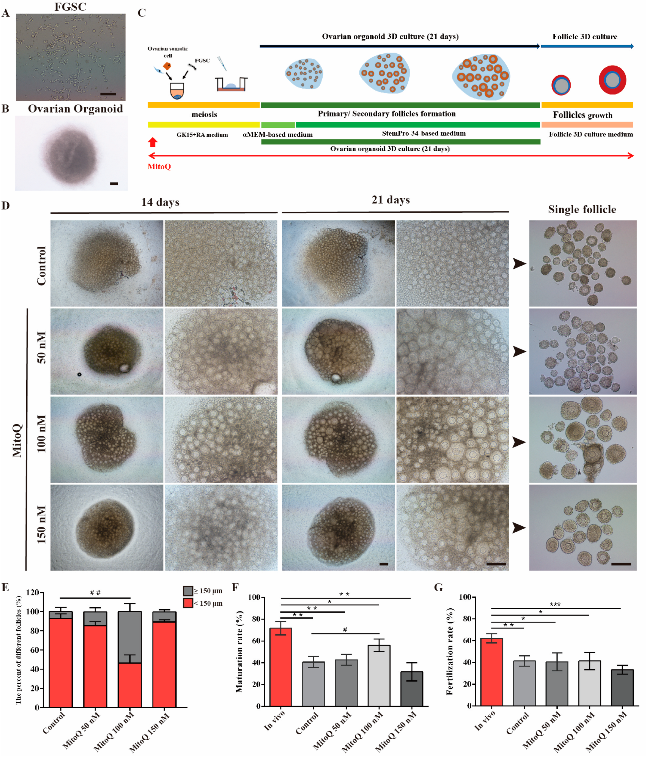 Ijms 24 00924 g001 Ijms 24 00924 g001