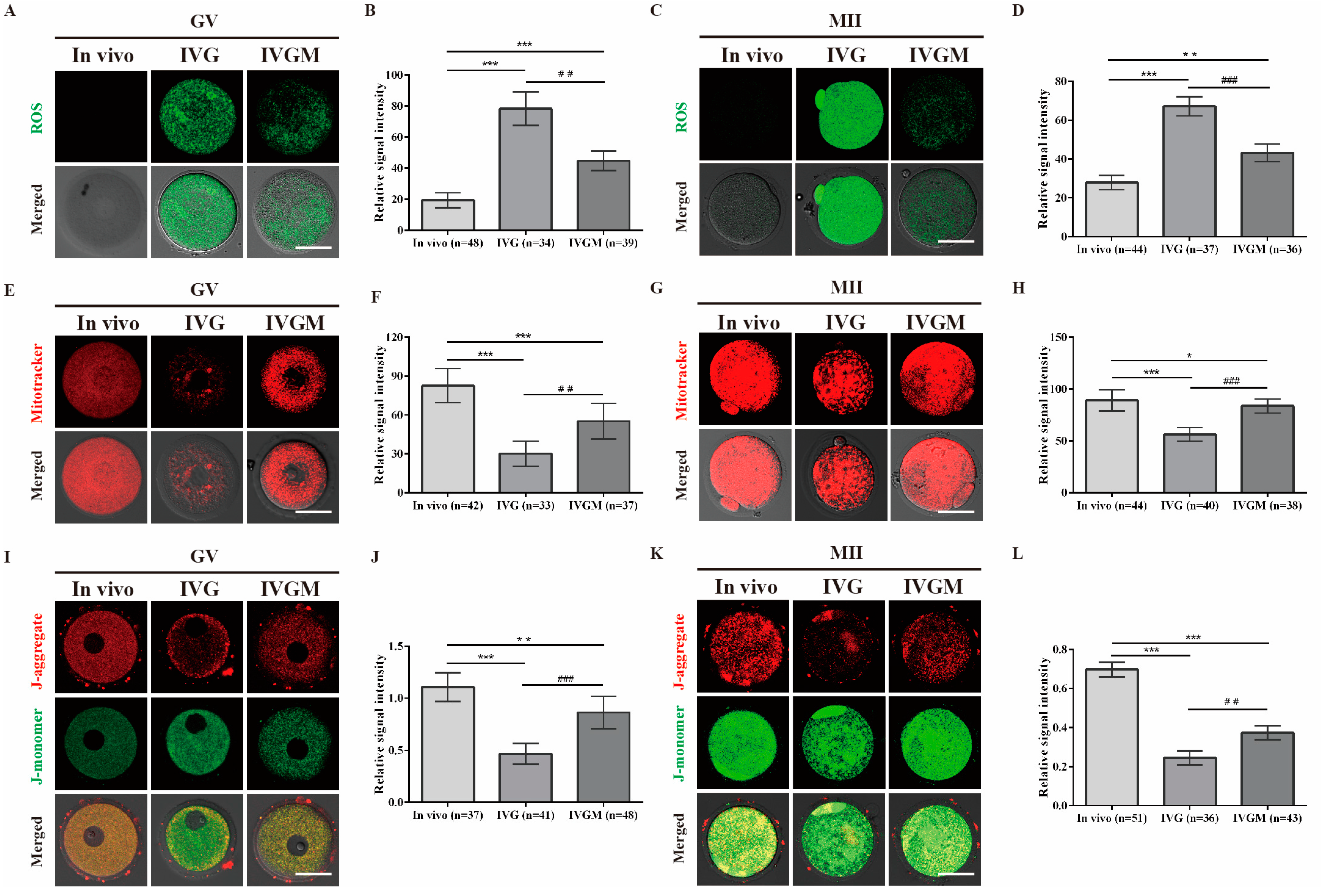 Ijms 24 00924 g002 Ijms 24 00924 g002