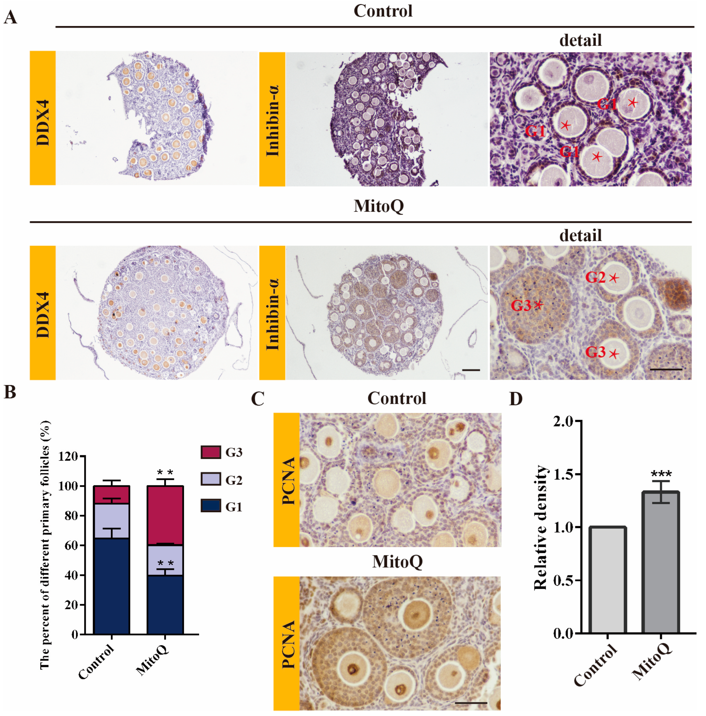 Ijms 24 00924 g003 Ijms 24 00924 g003