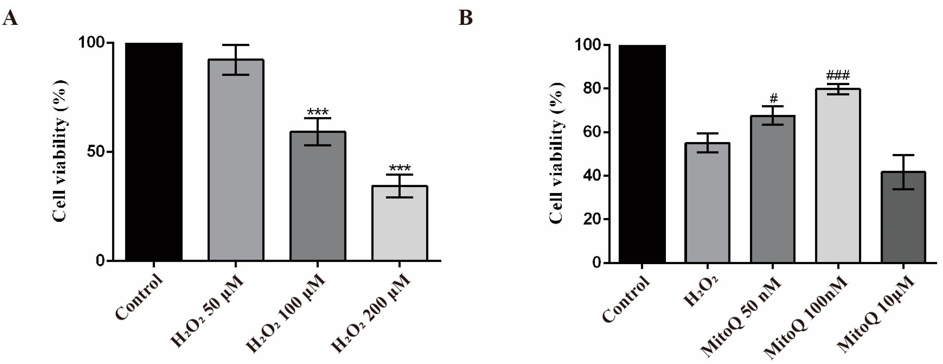 Ijms 24 00924 g004 Ijms 24 00924 g004