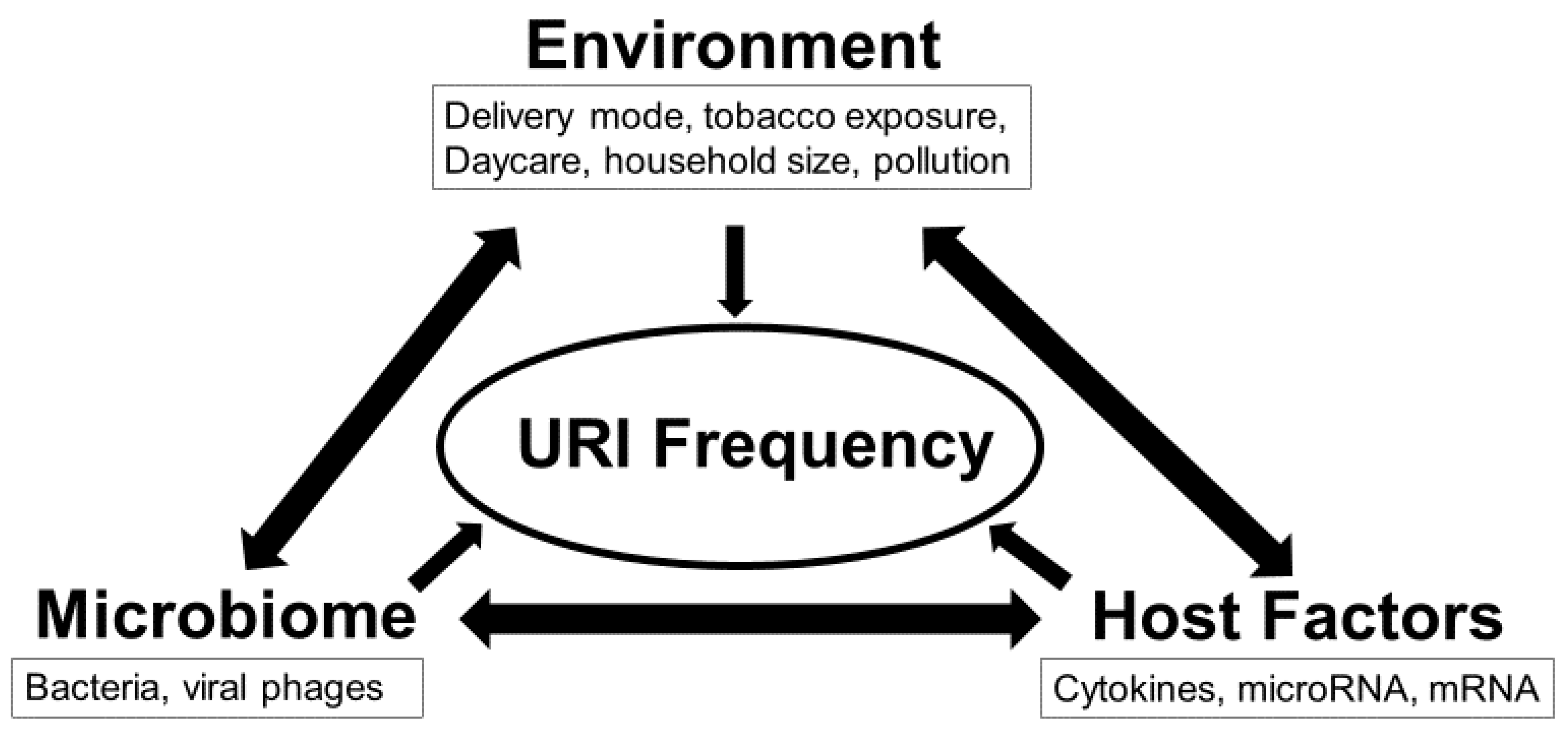 Ijms 24 00934 g001 Ijms 24 00934 g001