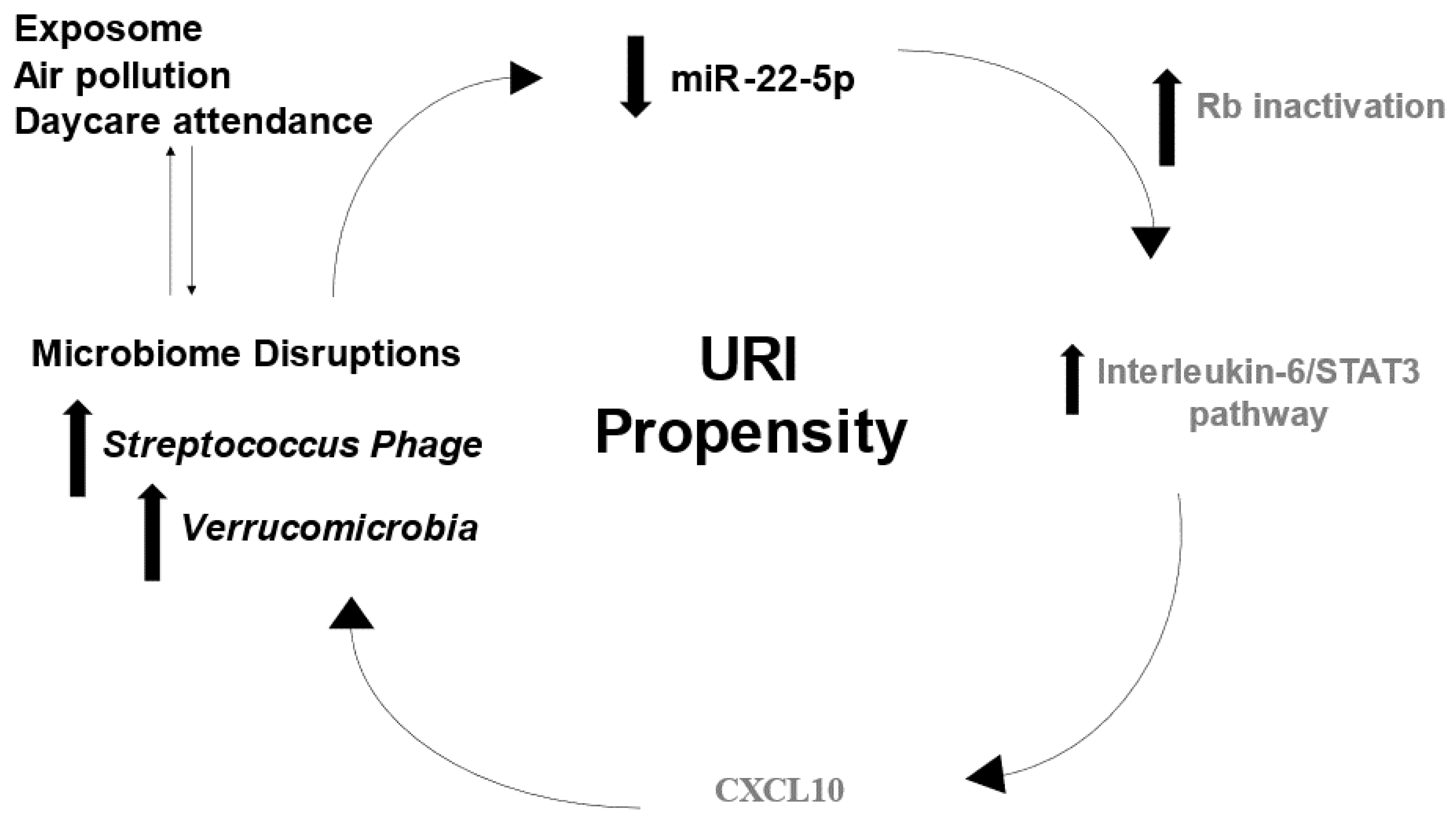 Ijms 24 00934 g005 Ijms 24 00934 g005