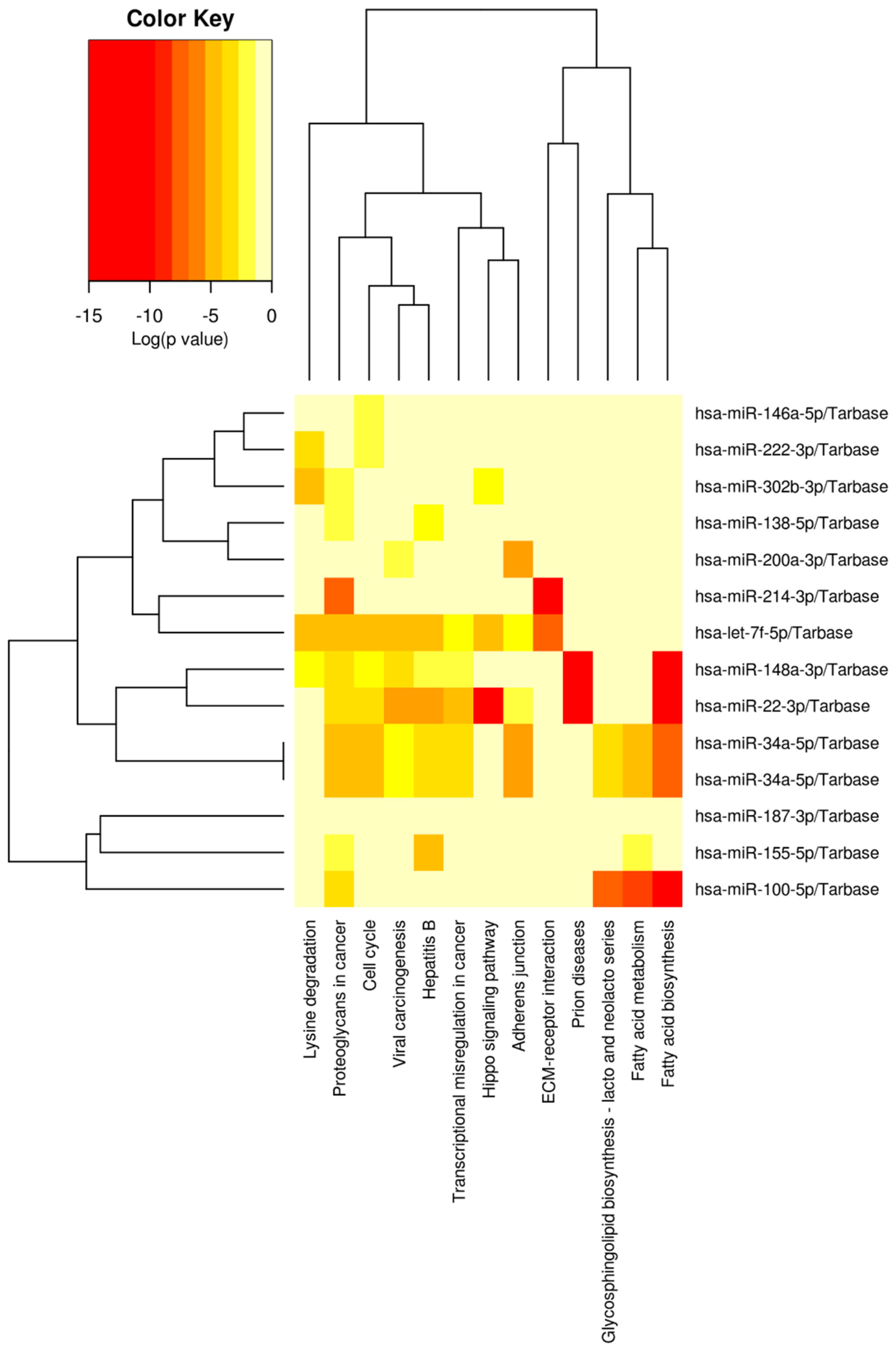 Ijms 24 00964 g001 Ijms 24 00964 g001