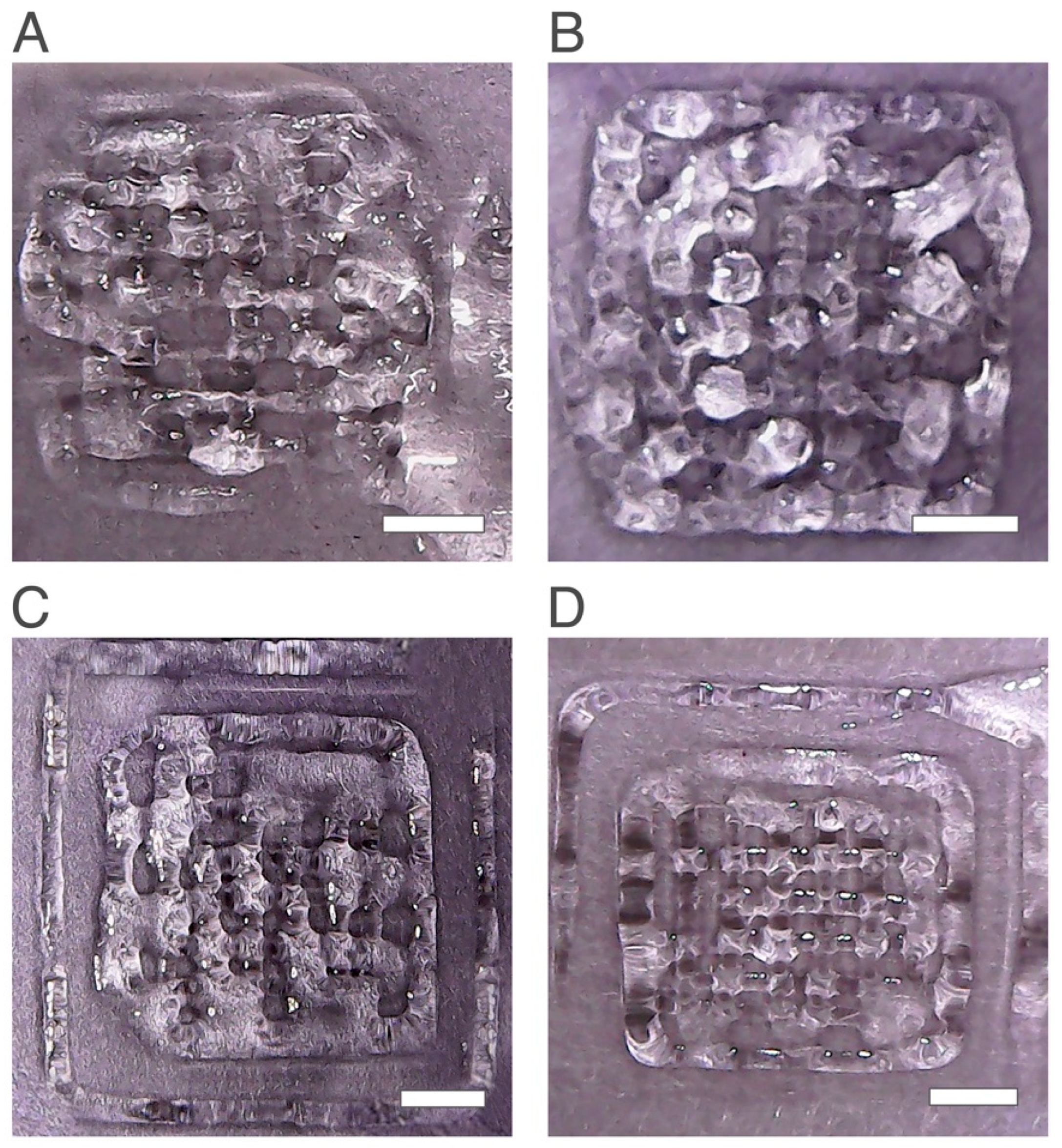 Ijms 24 00973 g002 Ijms 24 00973 g002