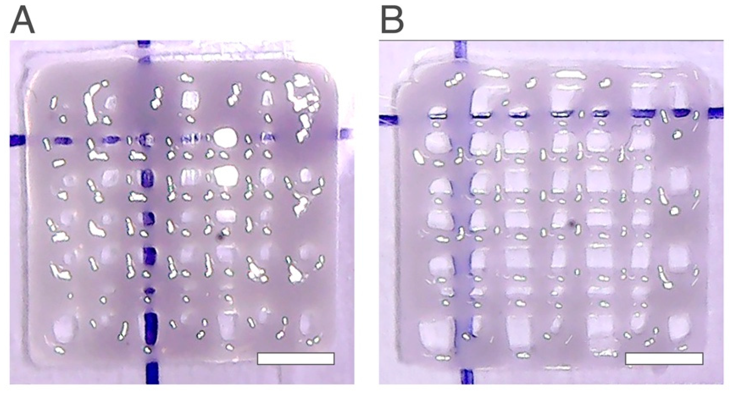 Ijms 24 00973 g006 Ijms 24 00973 g006