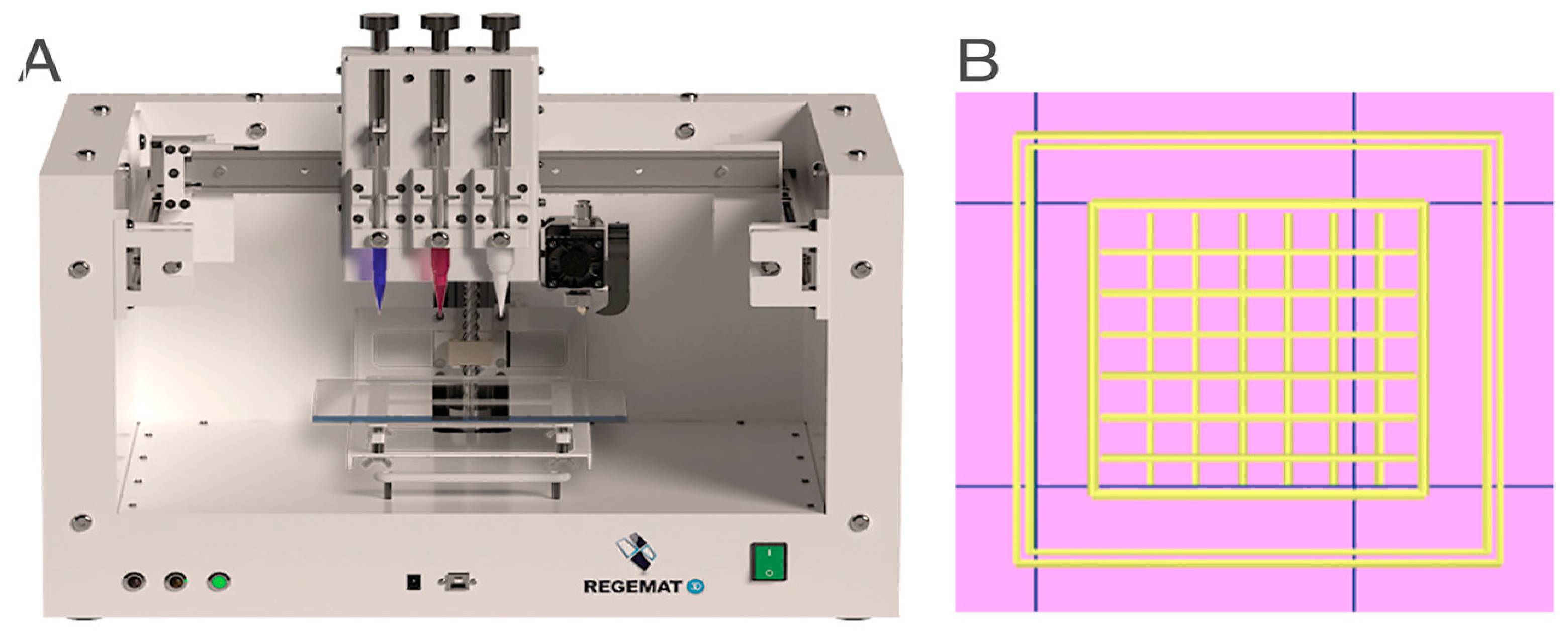Ijms 24 00973 g008 Ijms 24 00973 g008
