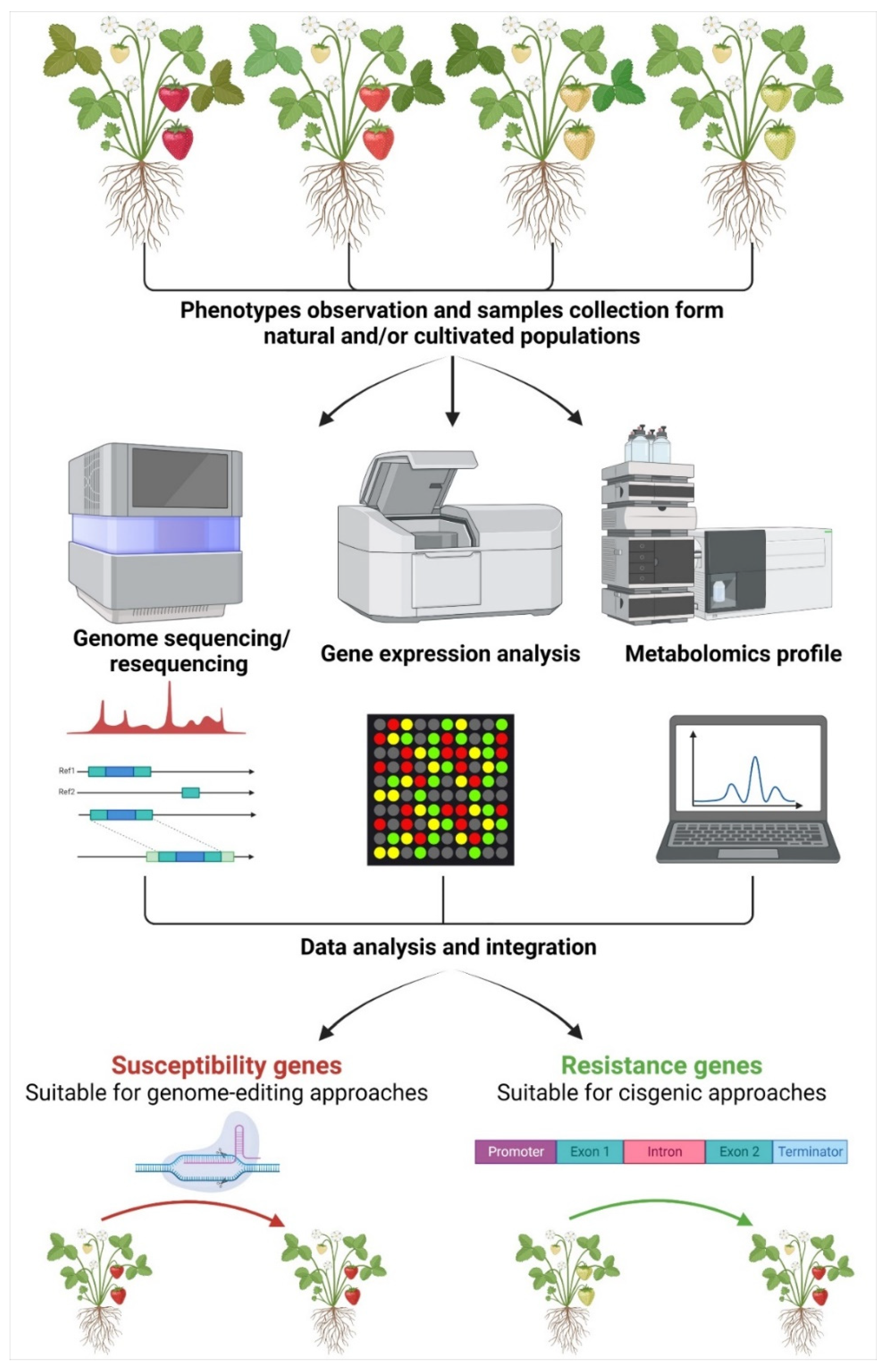 Ijms 24 00977 g001 Ijms 24 00977 g001