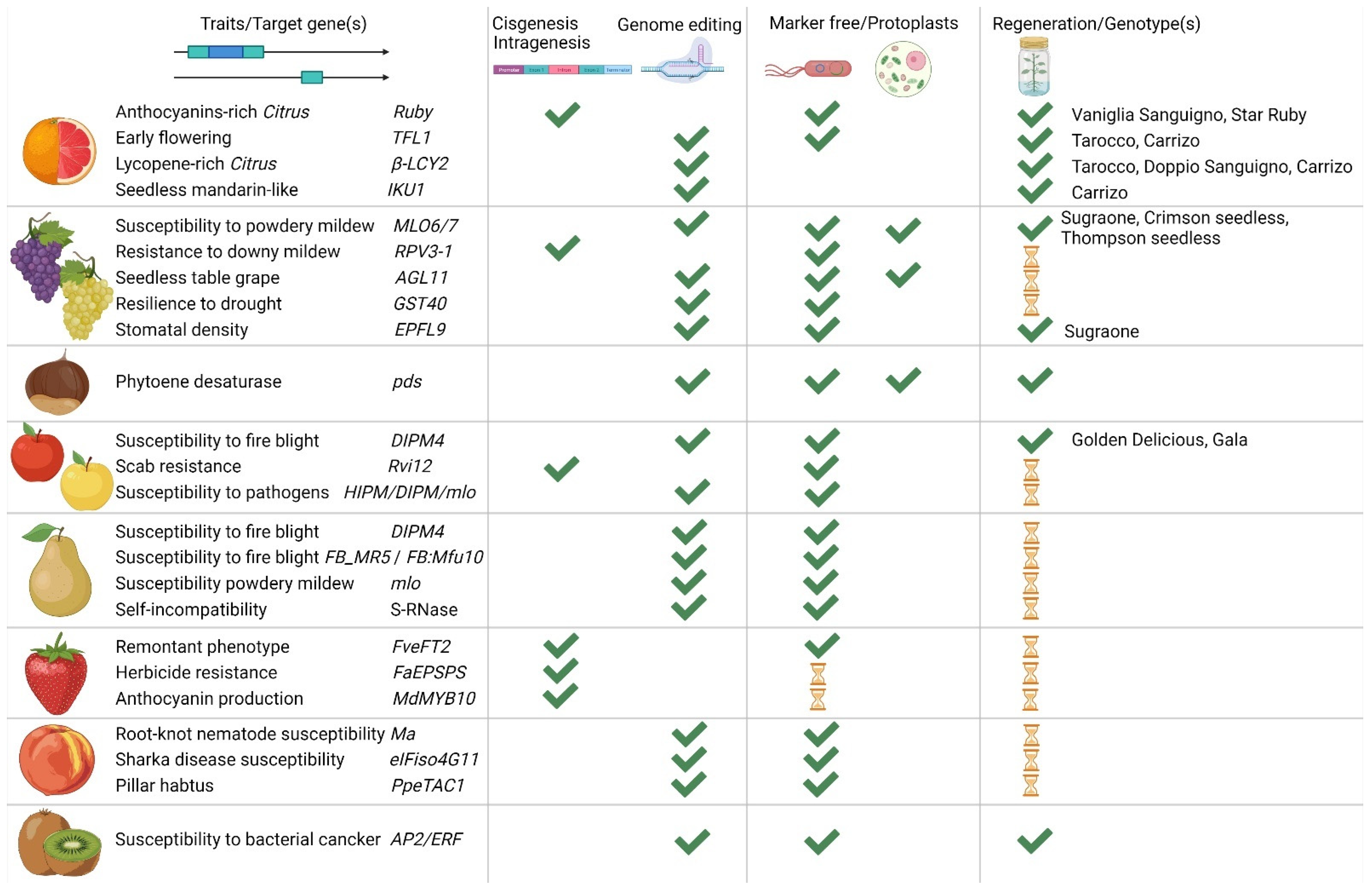 Ijms 24 00977 g003 Ijms 24 00977 g003
