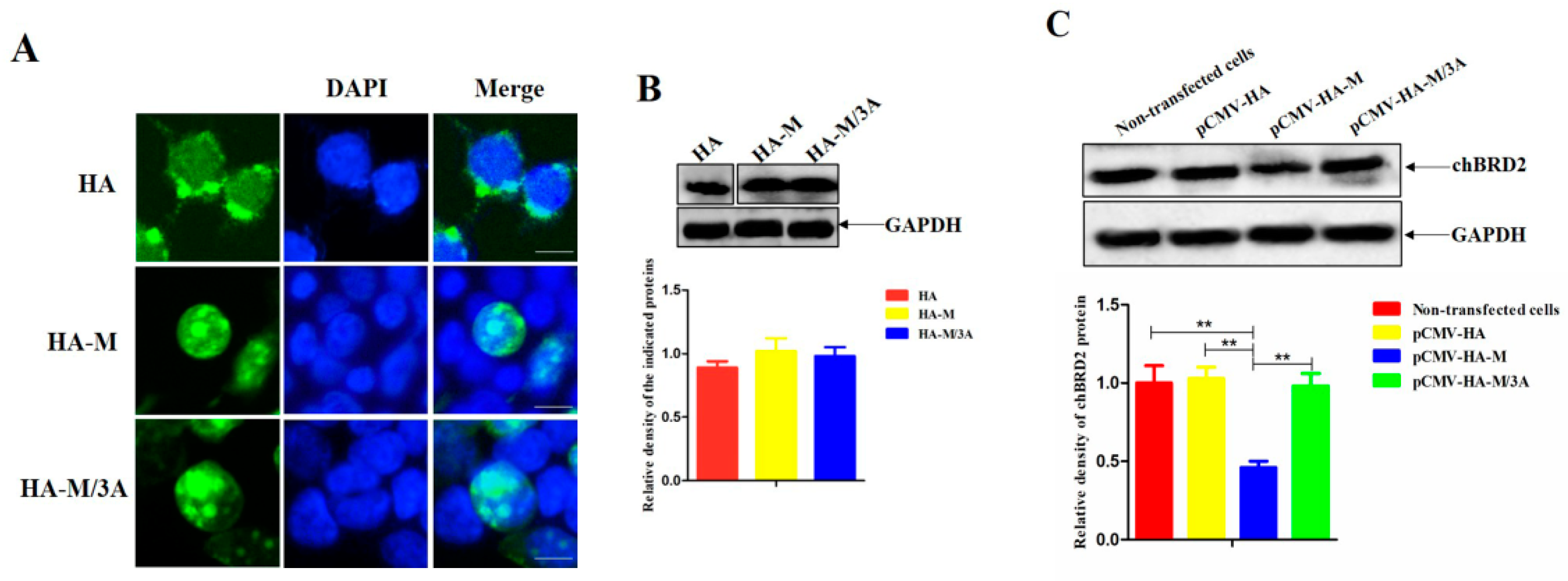 Ijms 24 00980 g003 Ijms 24 00980 g003