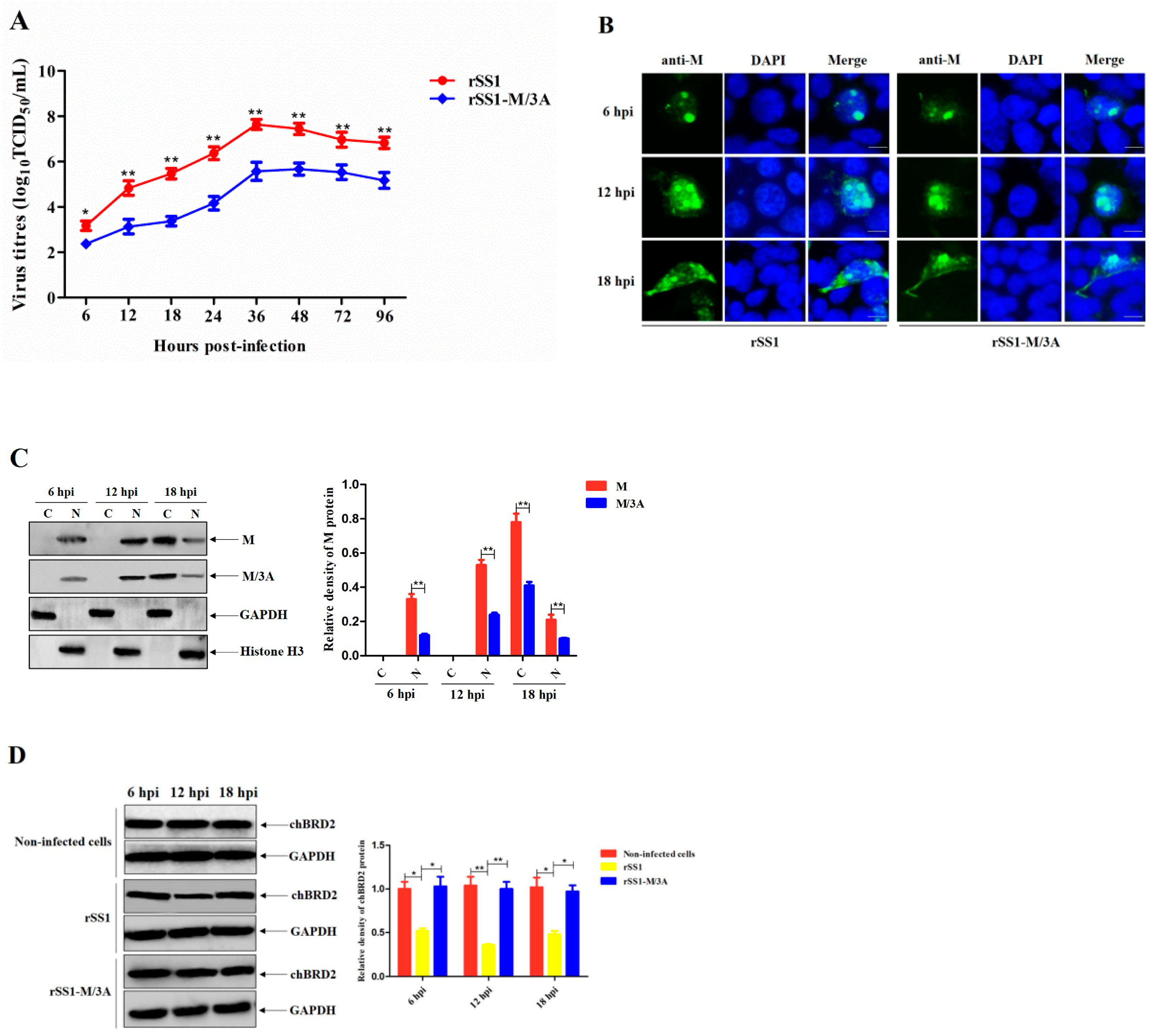 Ijms 24 00980 g005 Ijms 24 00980 g005