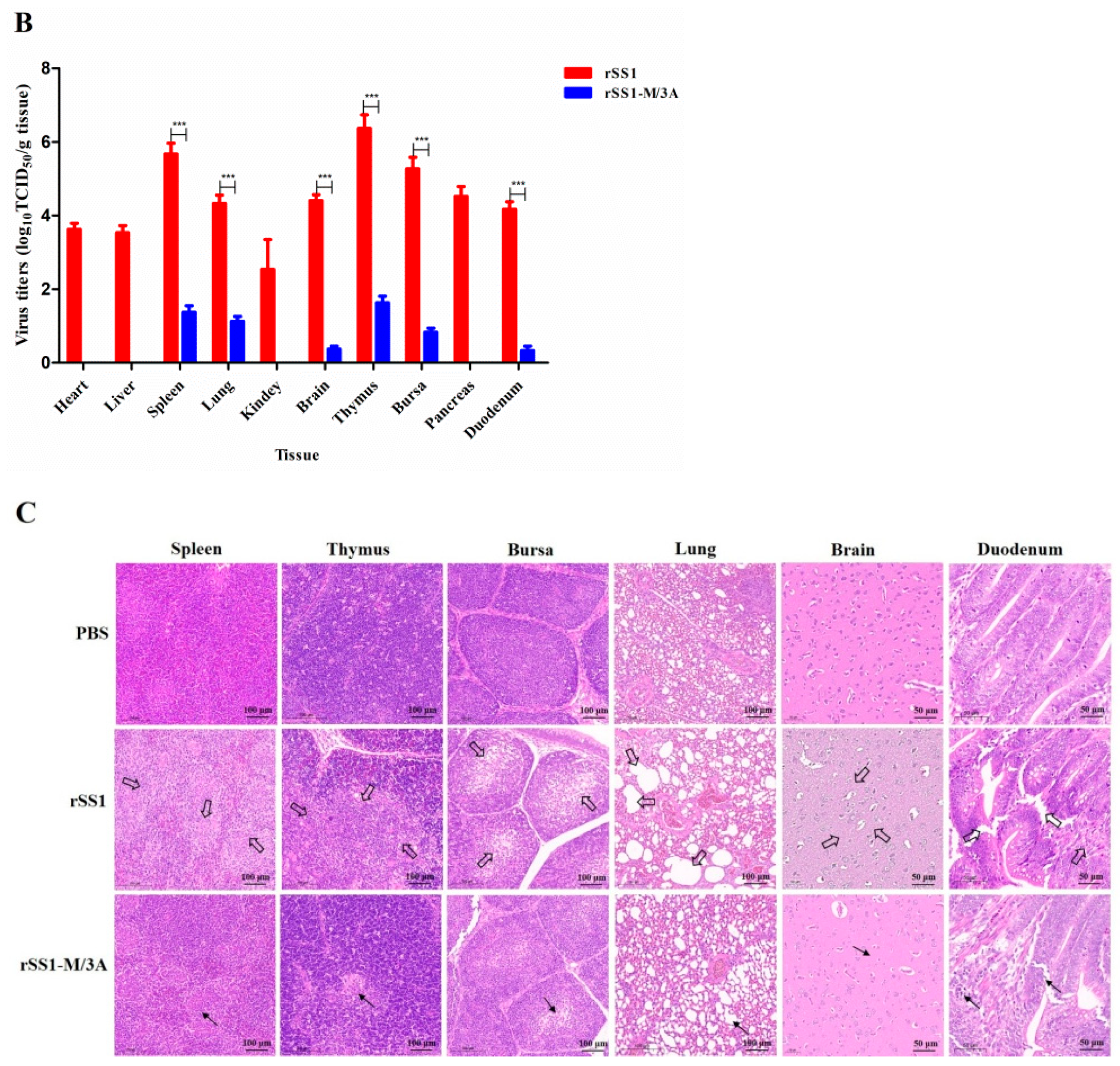 Ijms 24 00980 g006b Ijms 24 00980 g006b