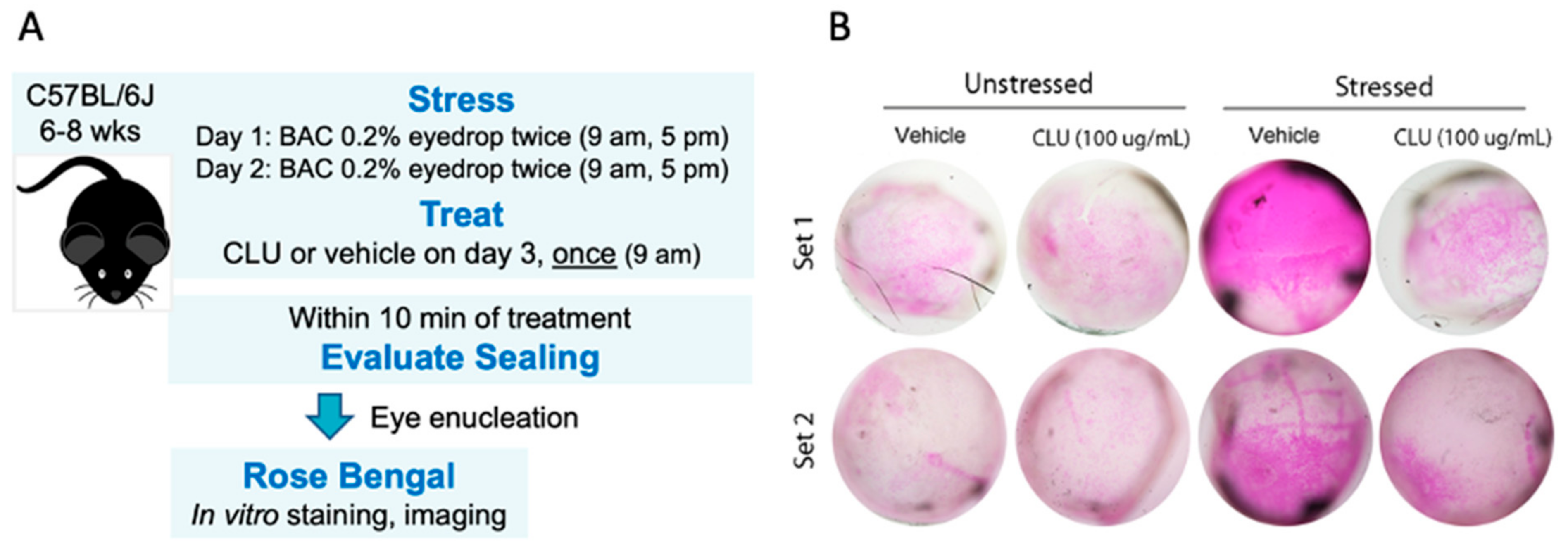 Ijms 24 00981 g001 Ijms 24 00981 g001