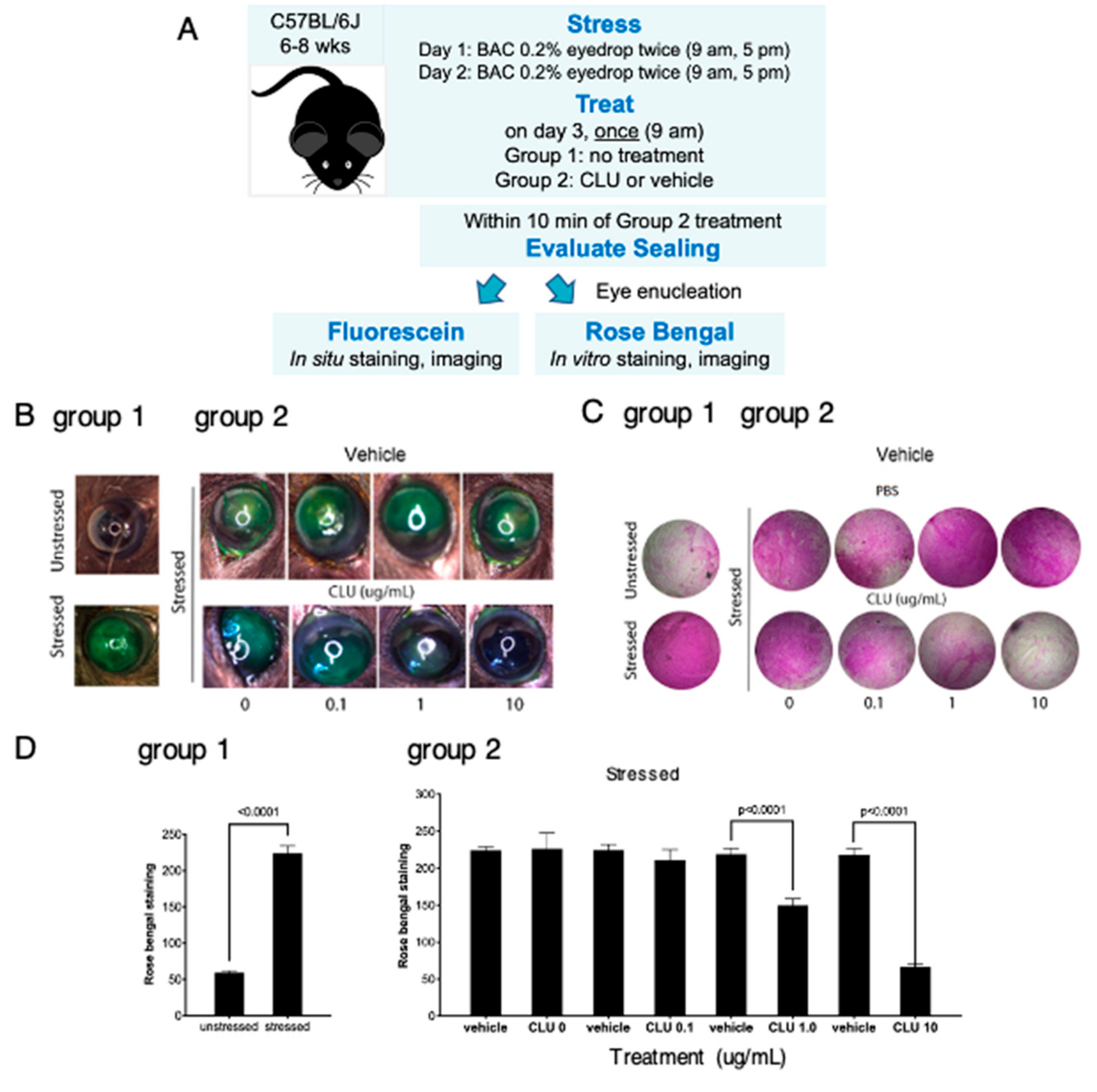 Ijms 24 00981 g002 Ijms 24 00981 g002