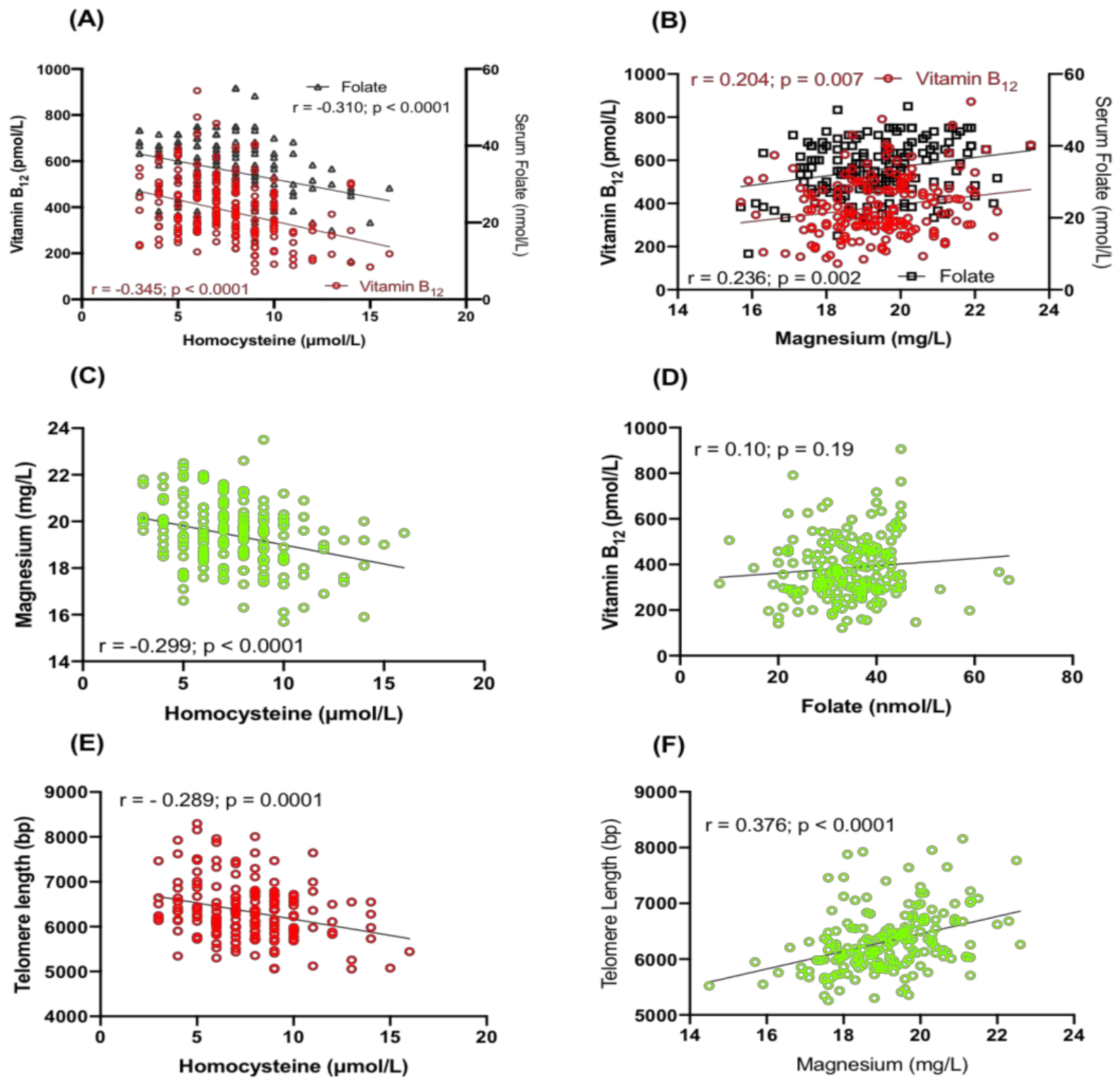 Ijms 24 00982 g002 Ijms 24 00982 g002