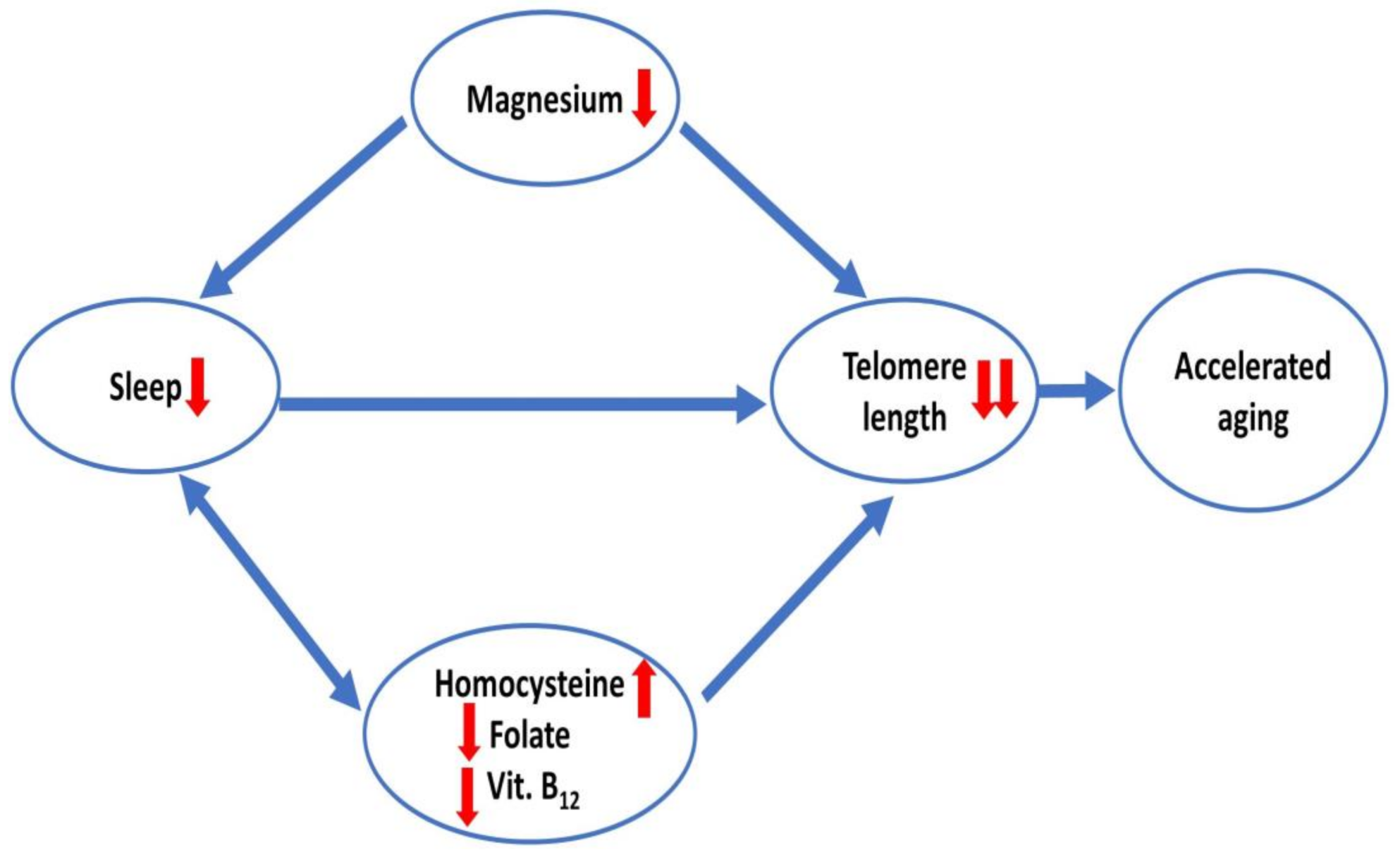 Ijms 24 00982 g006 Ijms 24 00982 g006