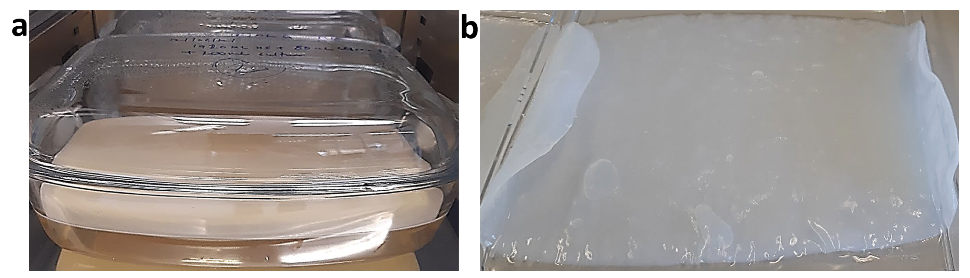 Ijms 24 00986 g003 Ijms 24 00986 g003