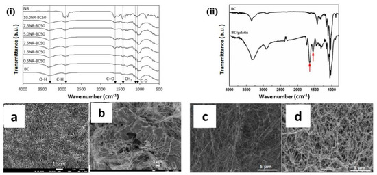 専用ページY149 Bacterial Cellulose-Based Blends and Composites: Versatile