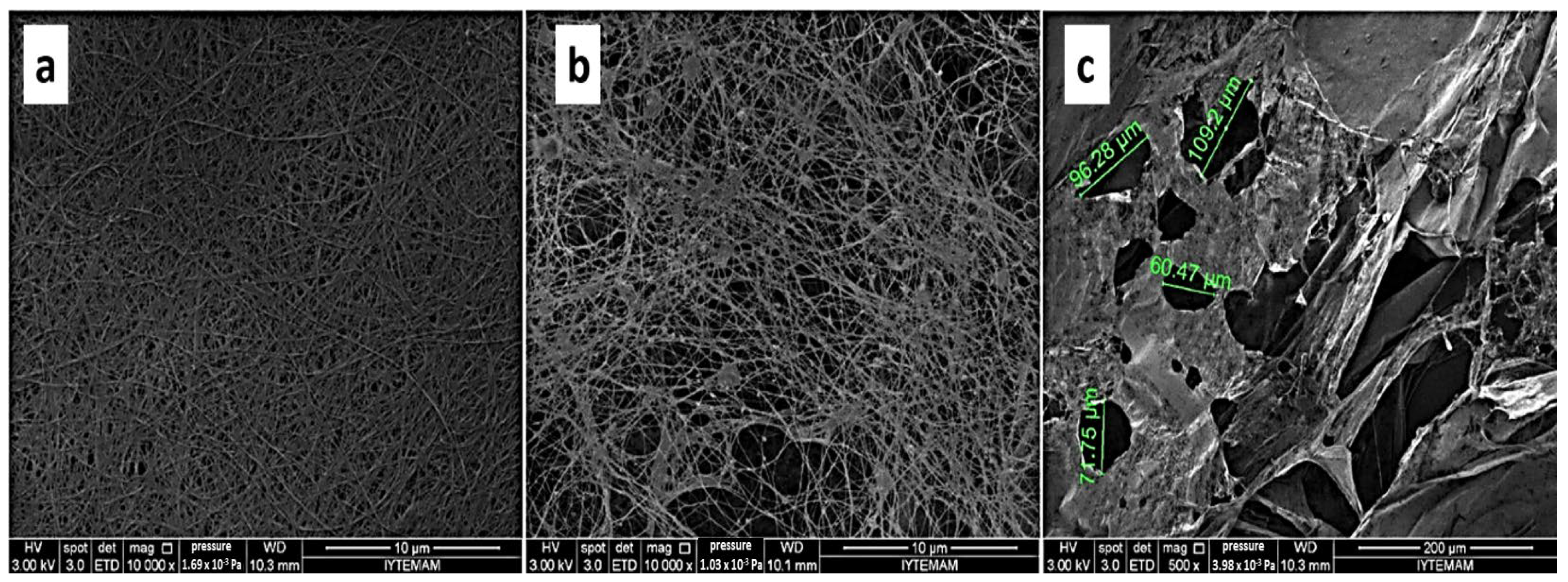 Ijms 24 00986 g005 Ijms 24 00986 g005