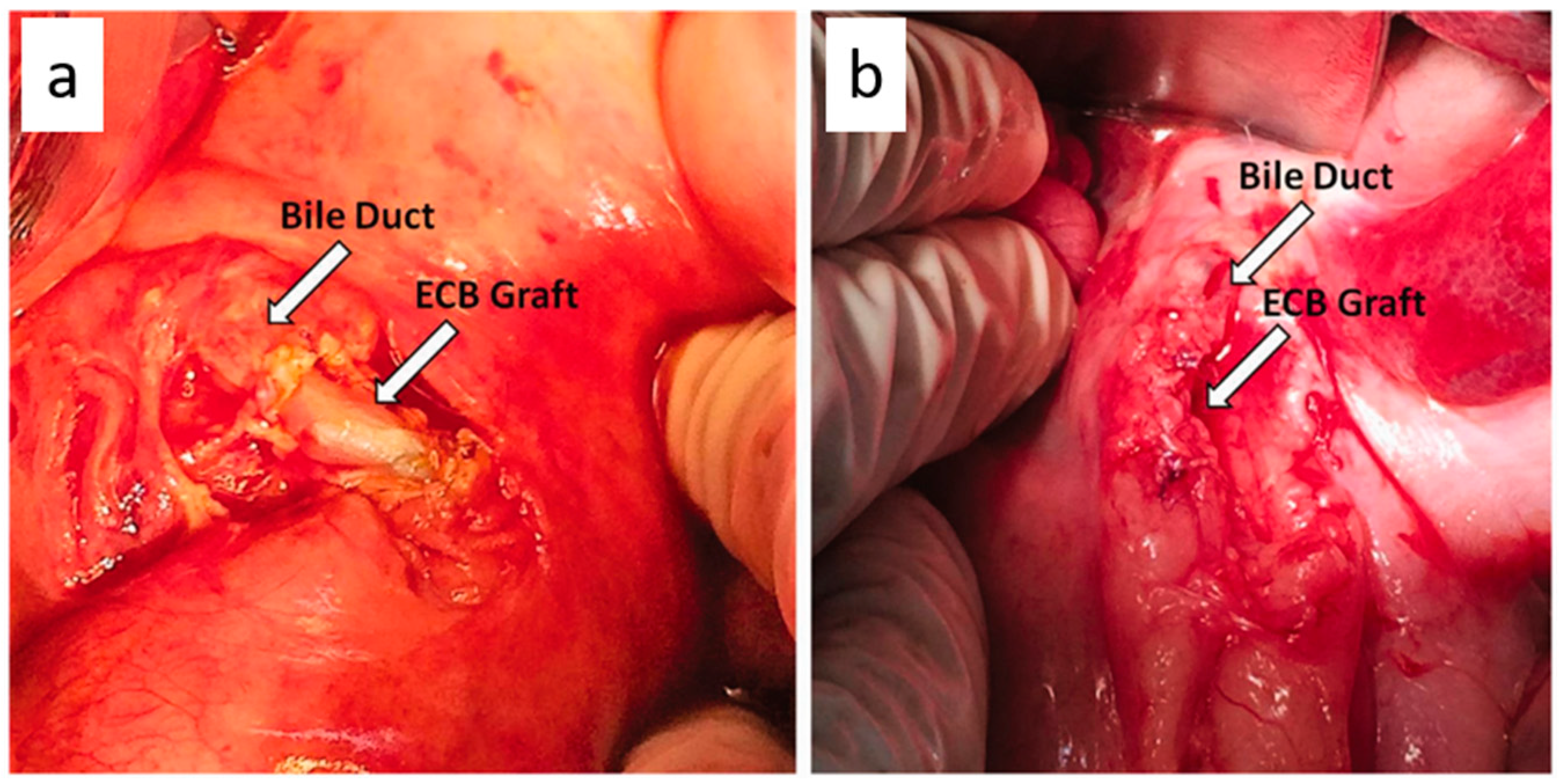 Ijms 24 00986 g010 Ijms 24 00986 g010