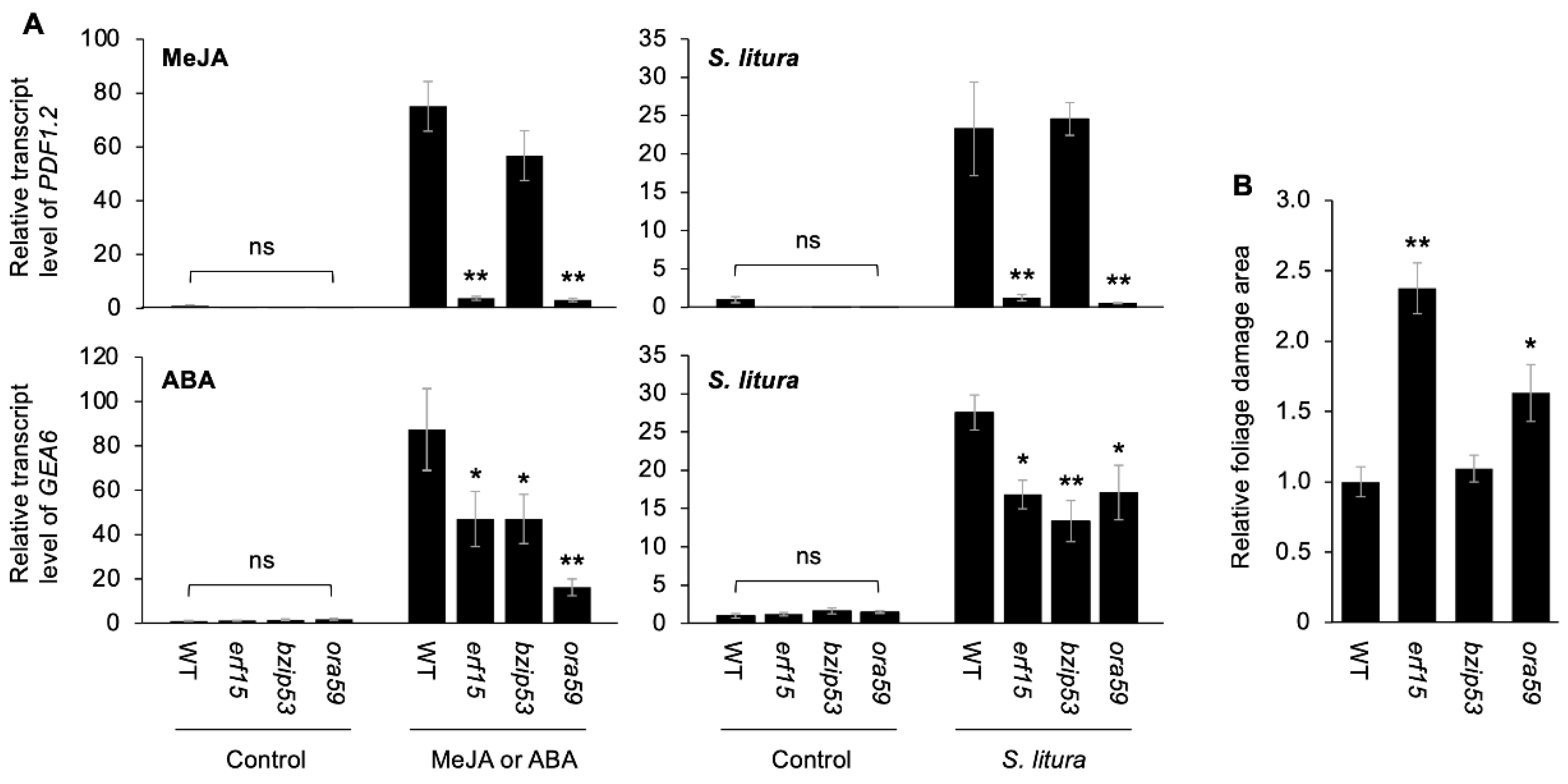 Ijms 24 00987 g002 Ijms 24 00987 g002