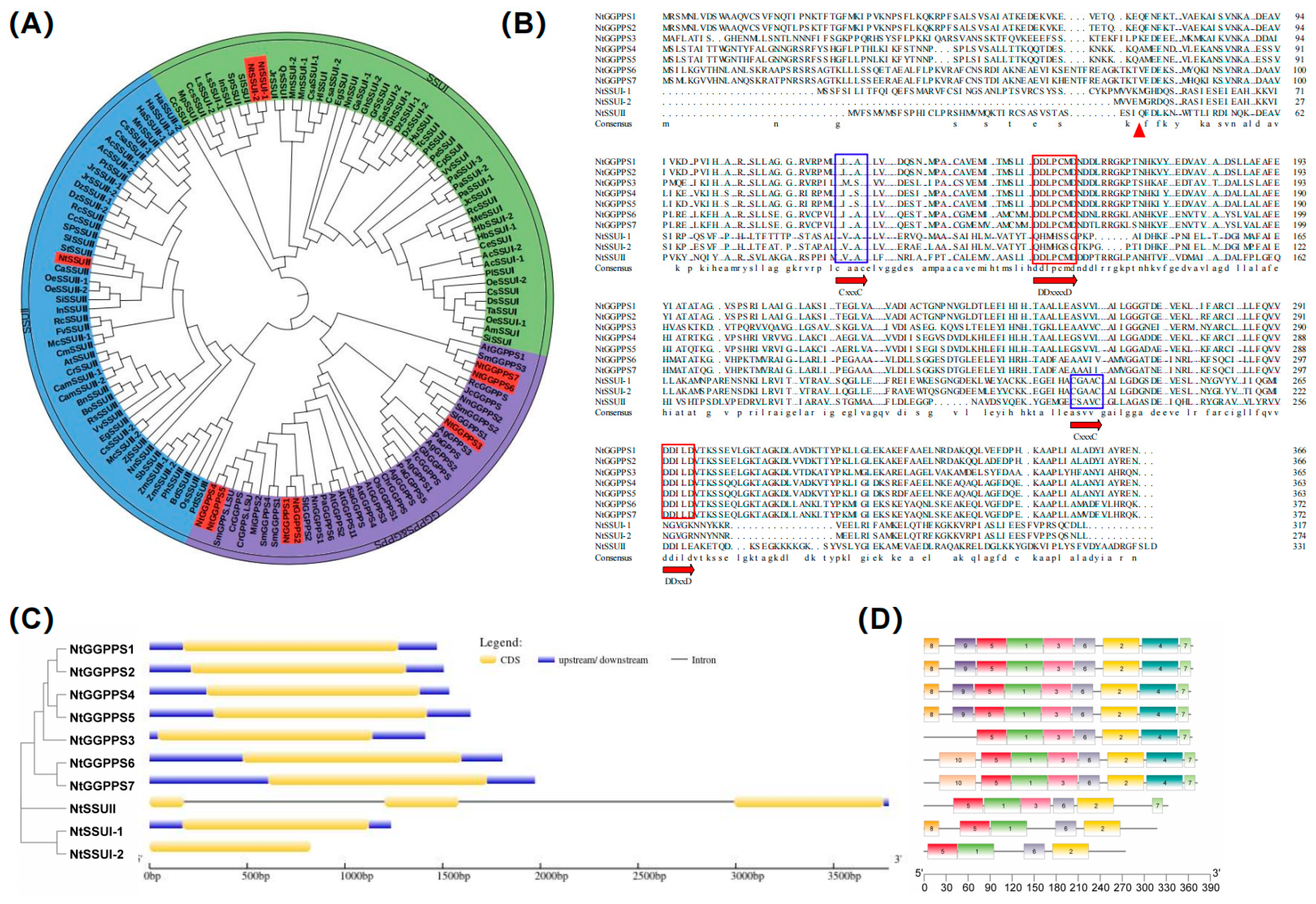 Ijms 24 00992 g001 Ijms 24 00992 g001