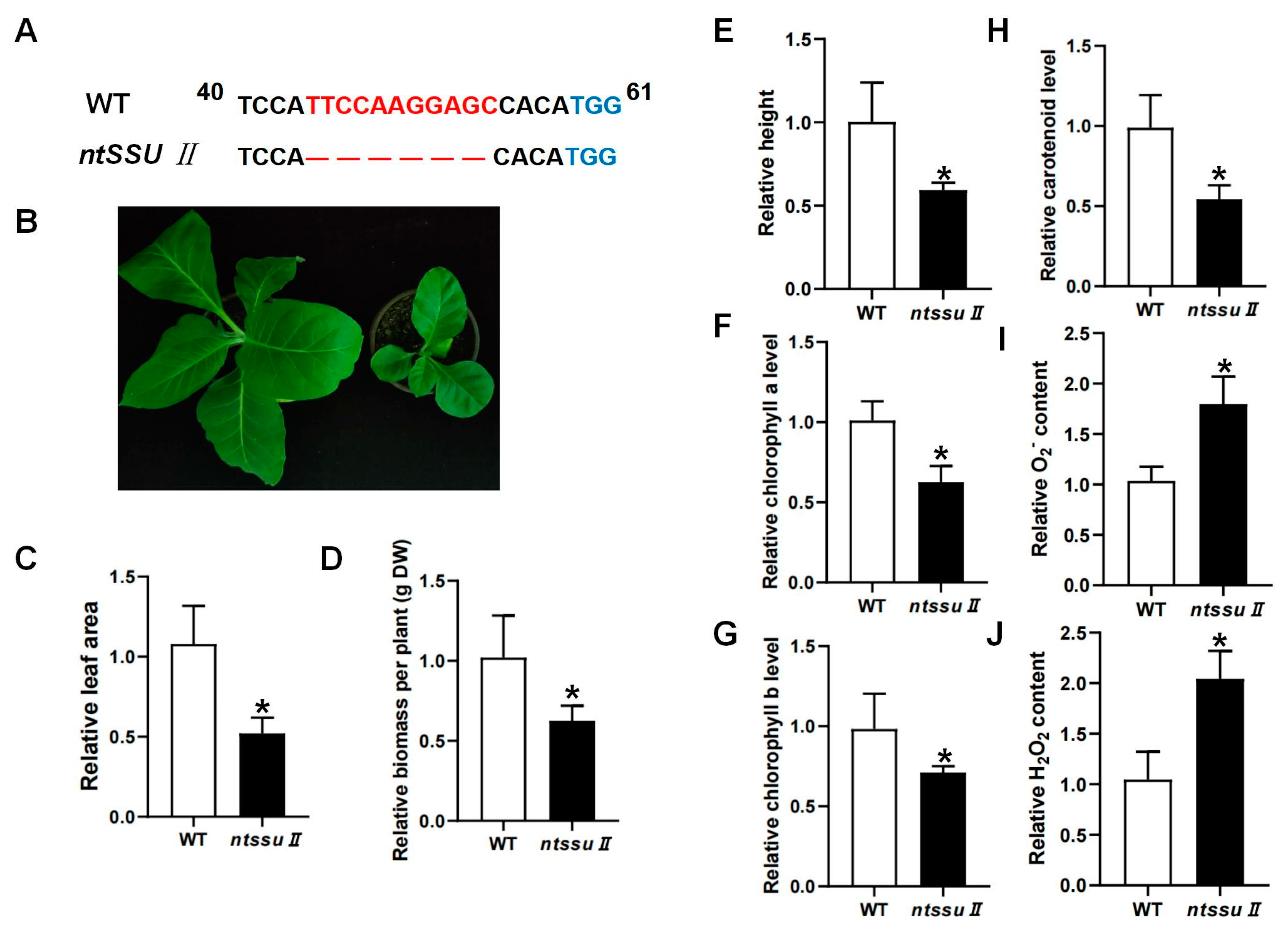Ijms 24 00992 g006 Ijms 24 00992 g006