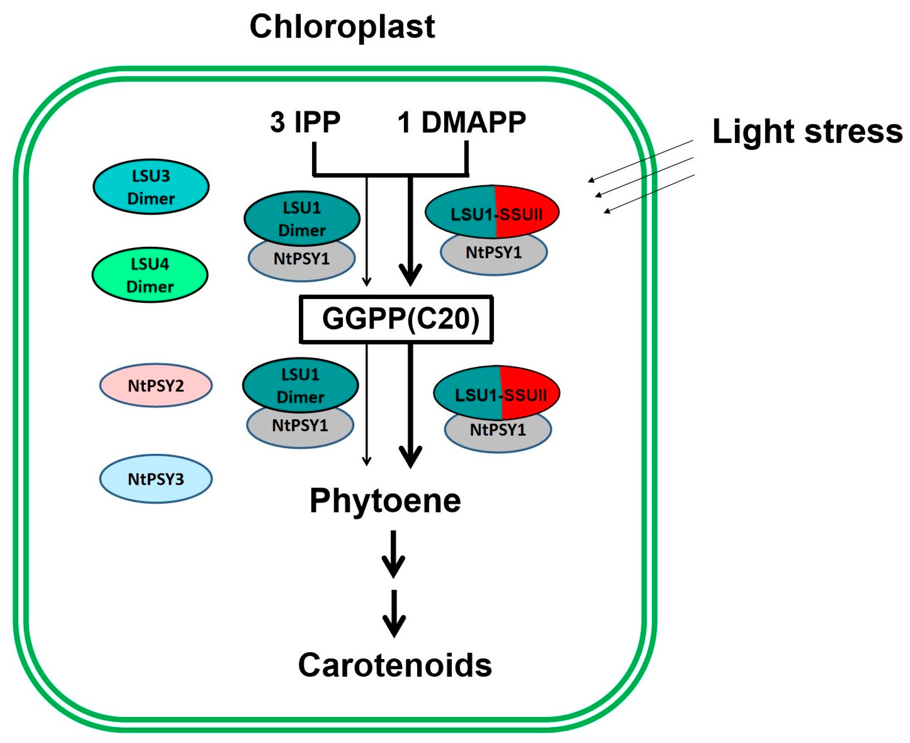 Ijms 24 00992 g008 Ijms 24 00992 g008