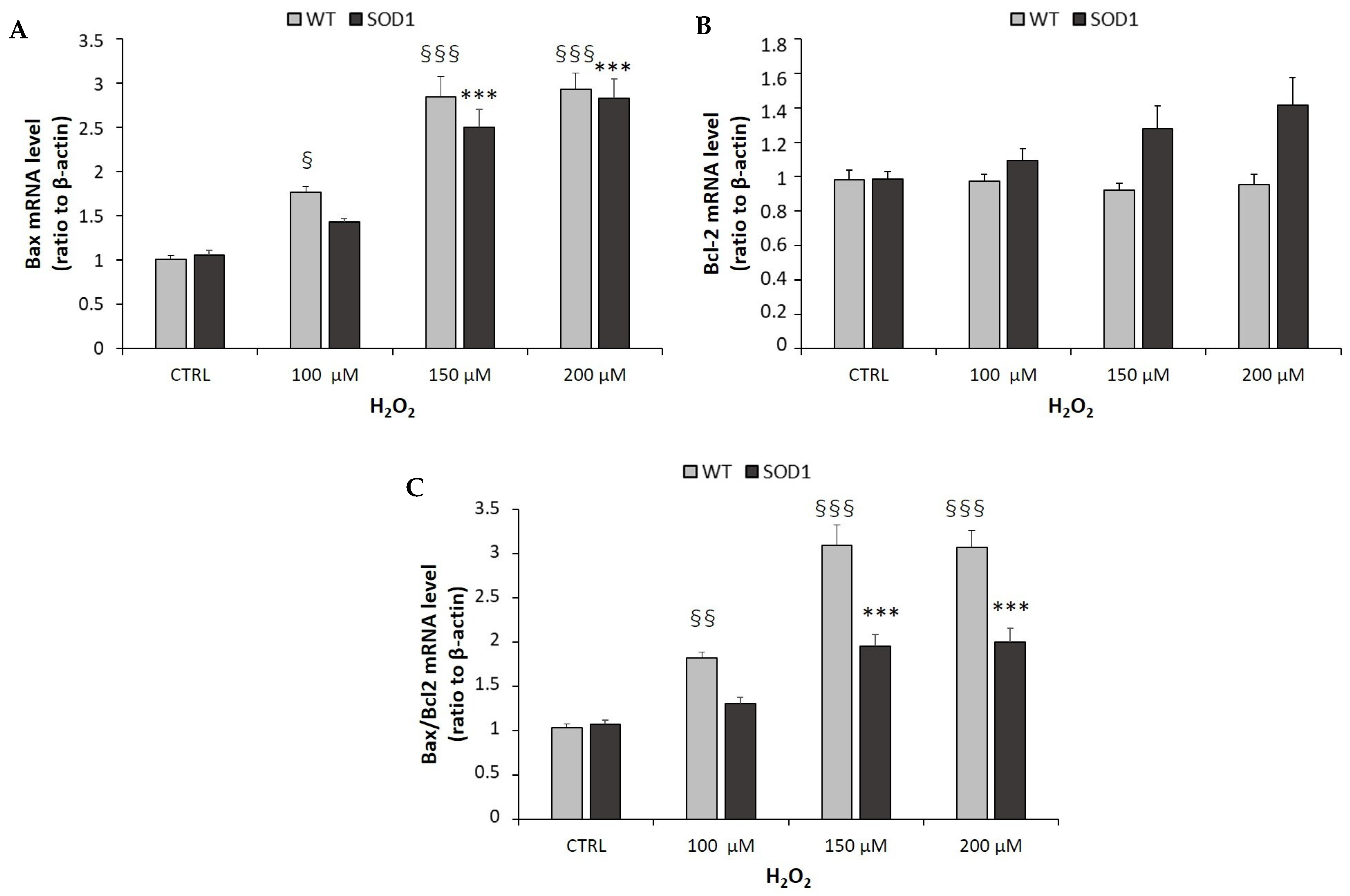 Ijms 24 00993 g005 Ijms 24 00993 g005