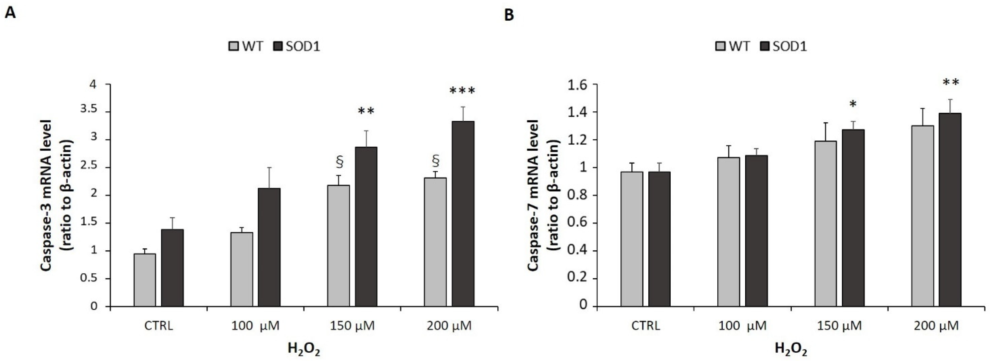 Ijms 24 00993 g007 Ijms 24 00993 g007