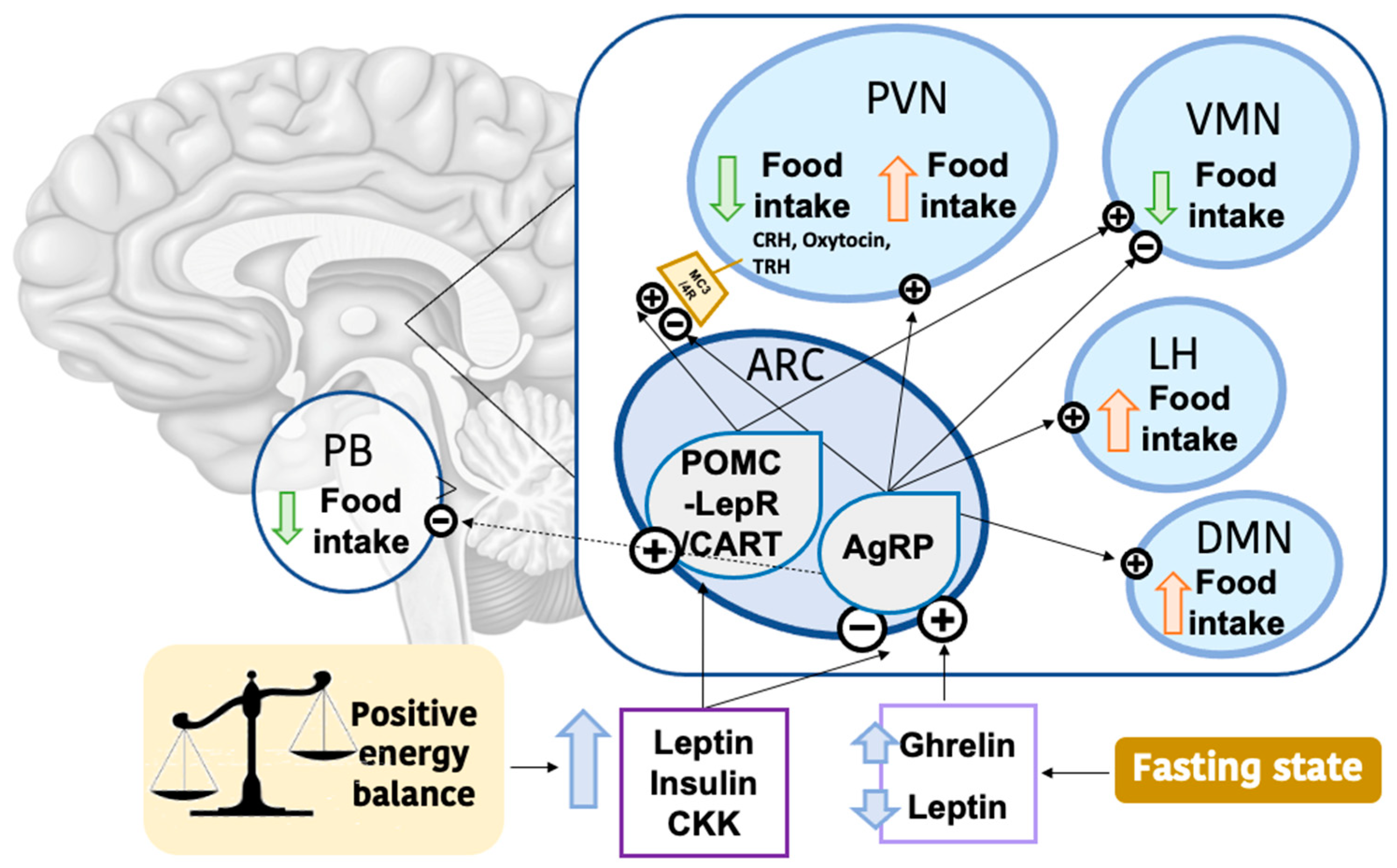 Ijms 24 01008 g004 Ijms 24 01008 g004