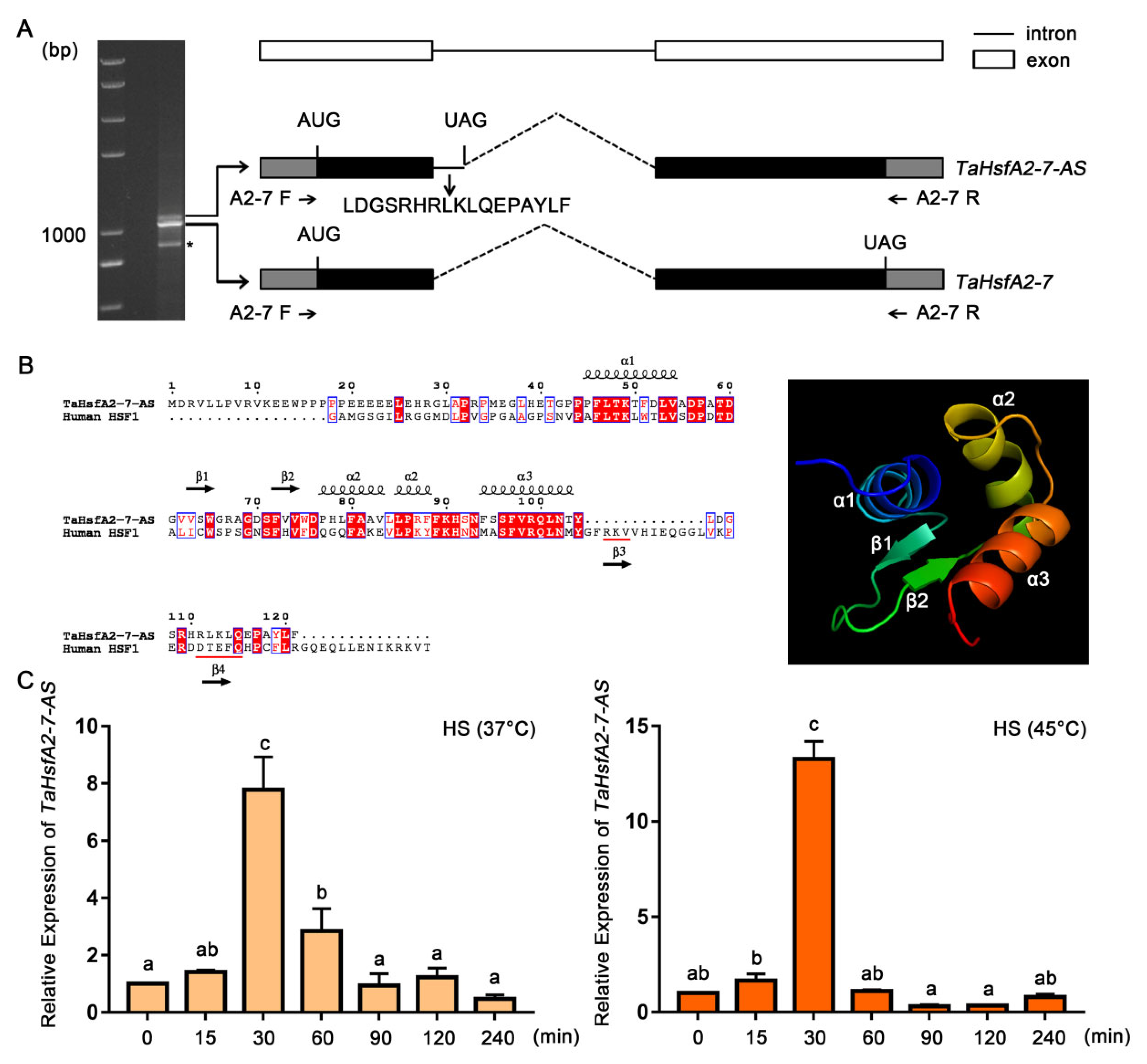 Ijms 24 01014 g001 Ijms 24 01014 g001