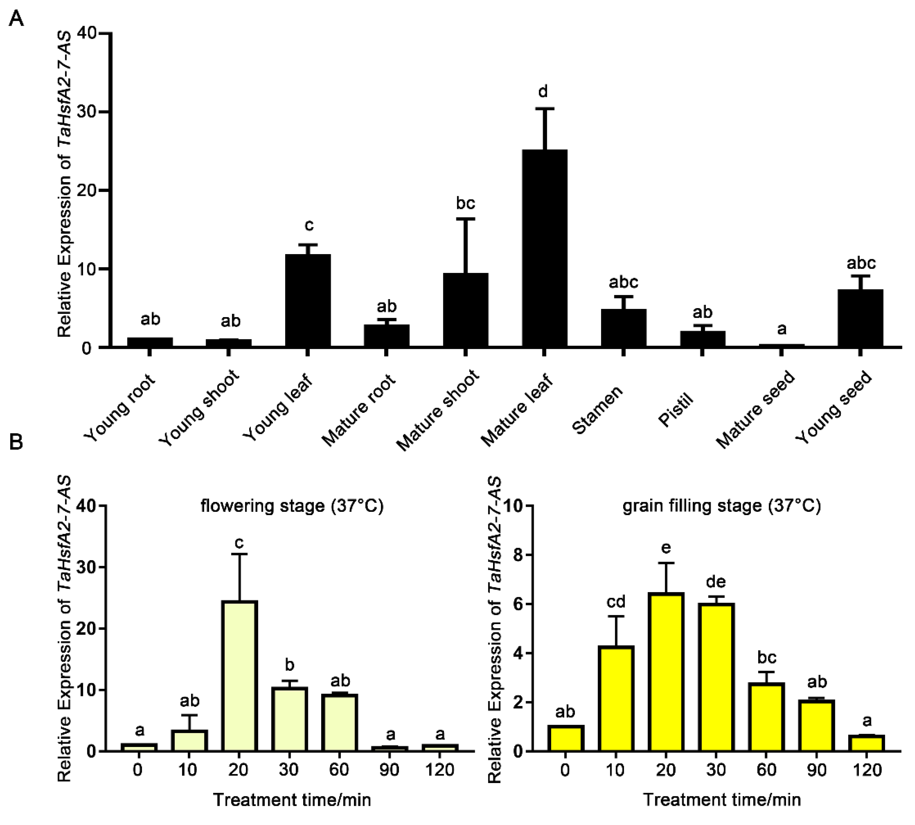 Ijms 24 01014 g002 Ijms 24 01014 g002