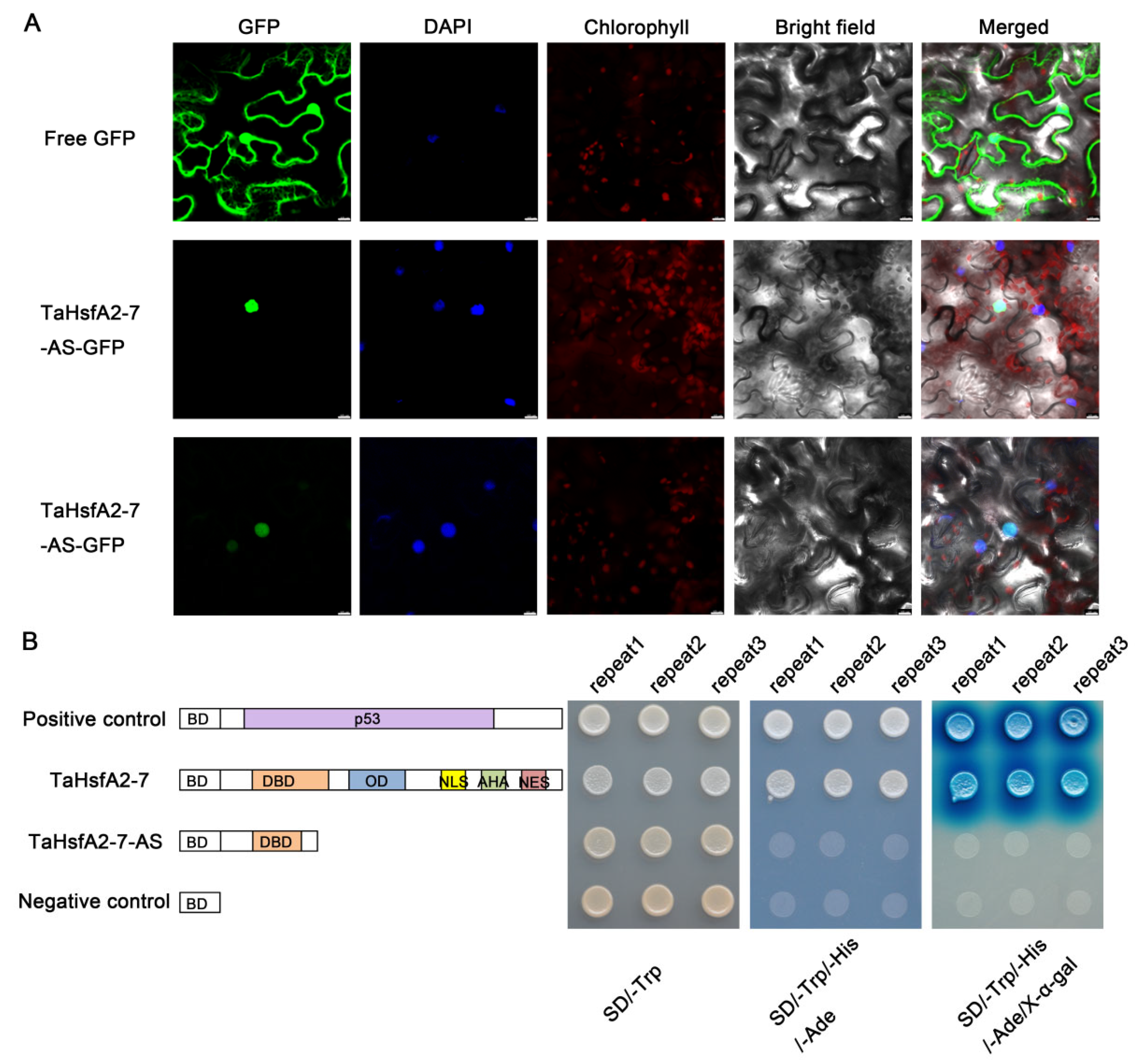 Ijms 24 01014 g003 Ijms 24 01014 g003