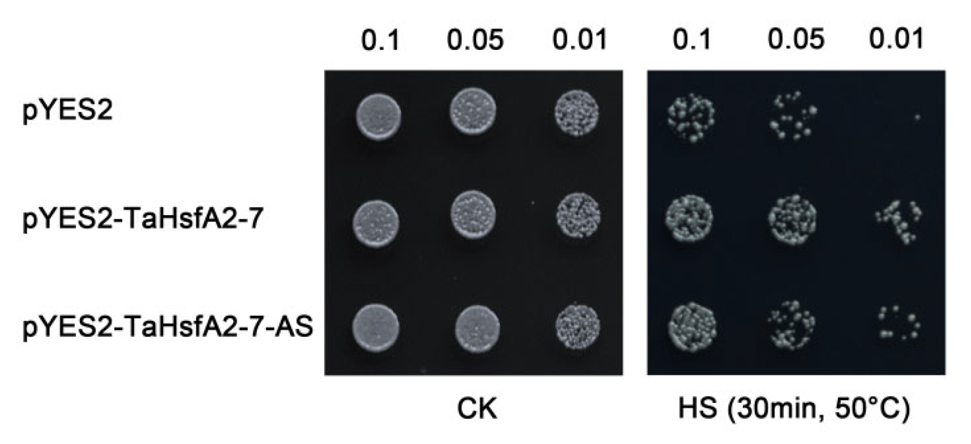 Ijms 24 01014 g004 Ijms 24 01014 g004