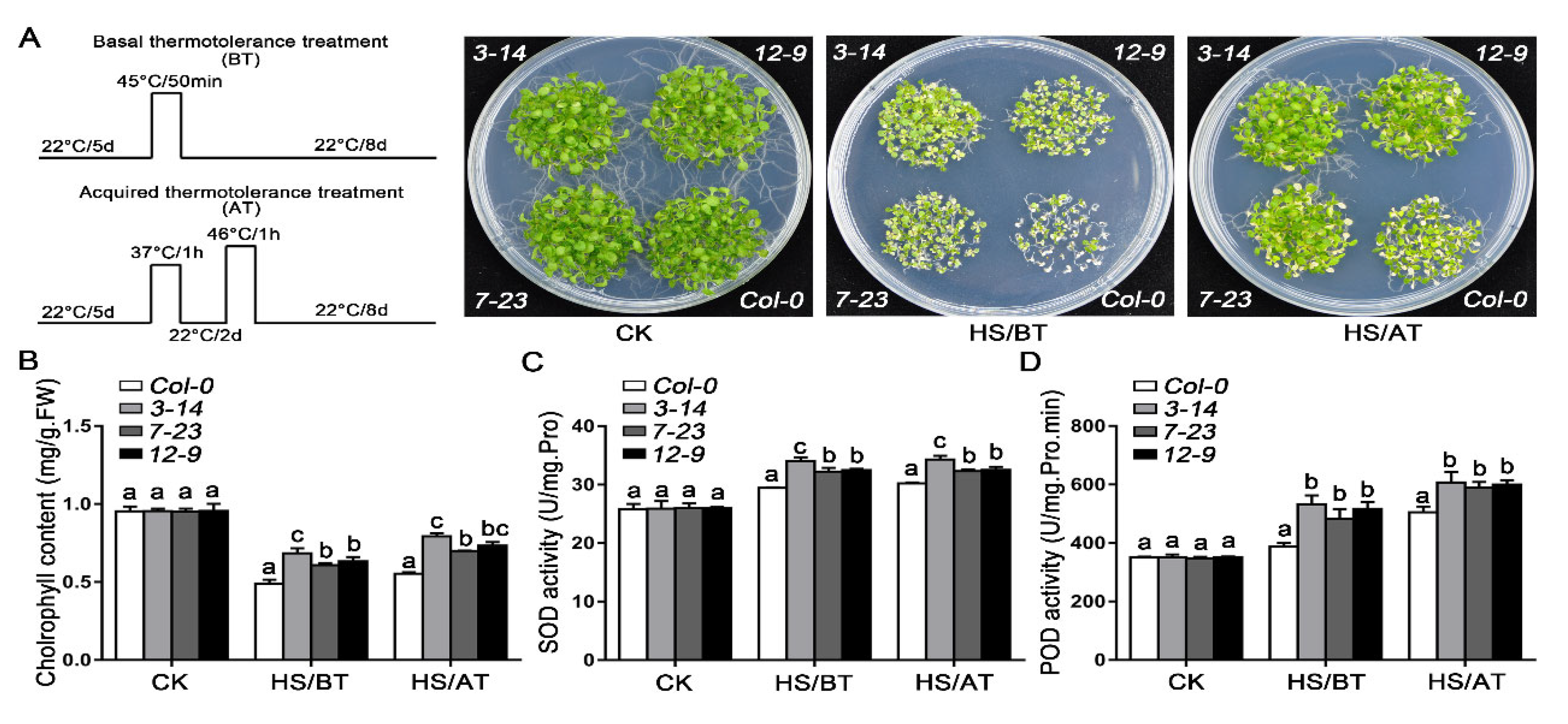 Ijms 24 01014 g005 Ijms 24 01014 g005