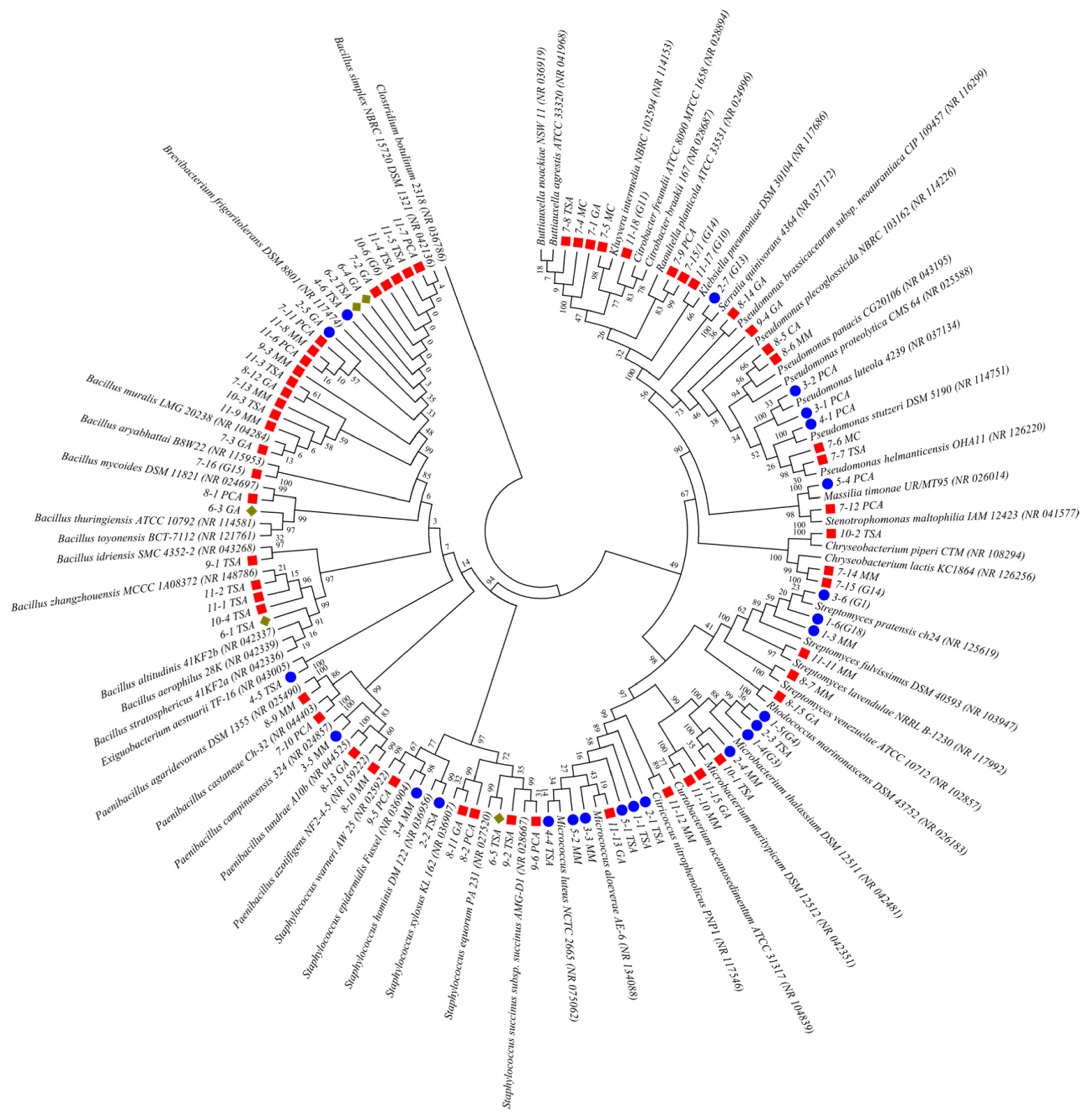 Ijms 24 01016 g006 Ijms 24 01016 g006