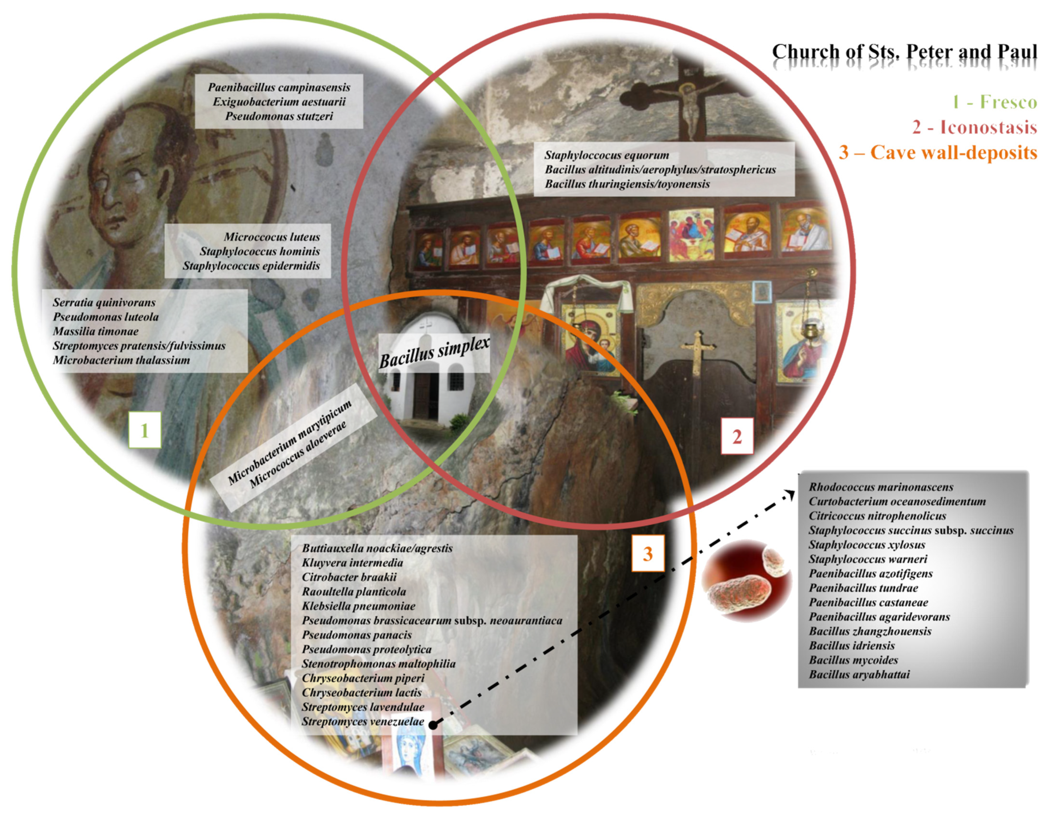 Ijms 24 01016 g007 Ijms 24 01016 g007