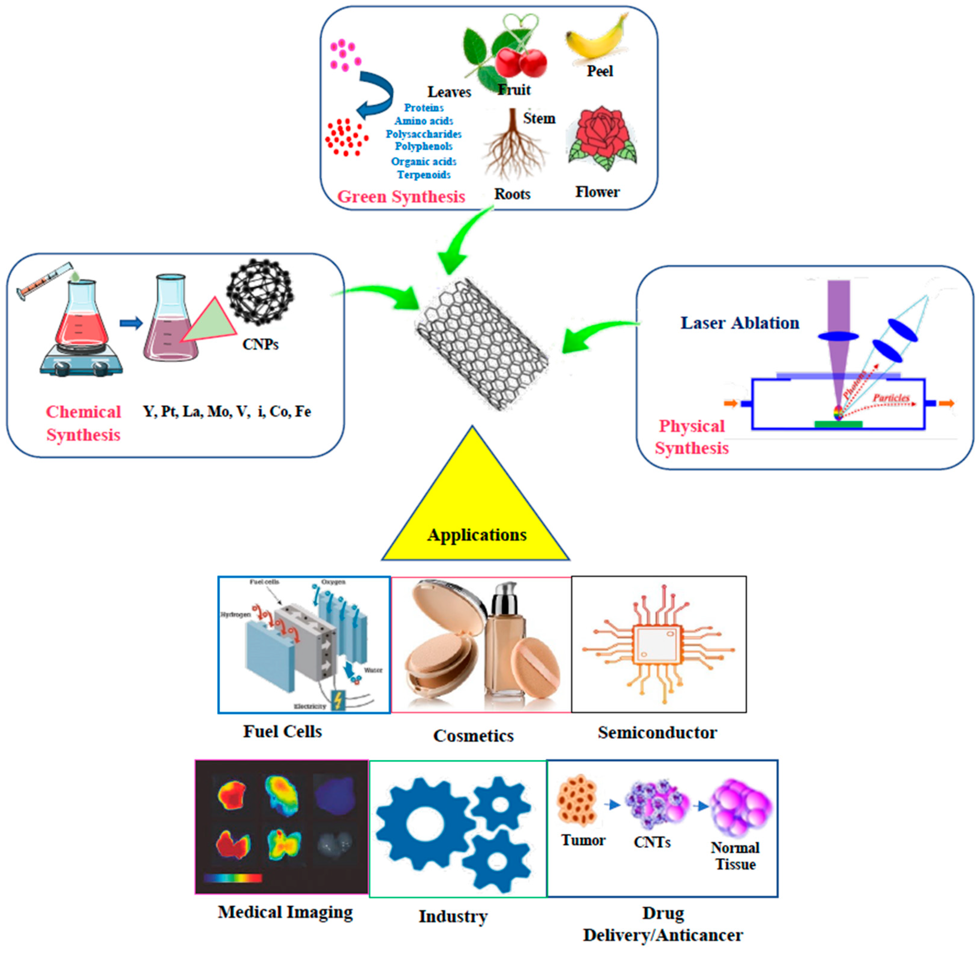 Ijms 24 01023 g002 Ijms 24 01023 g002