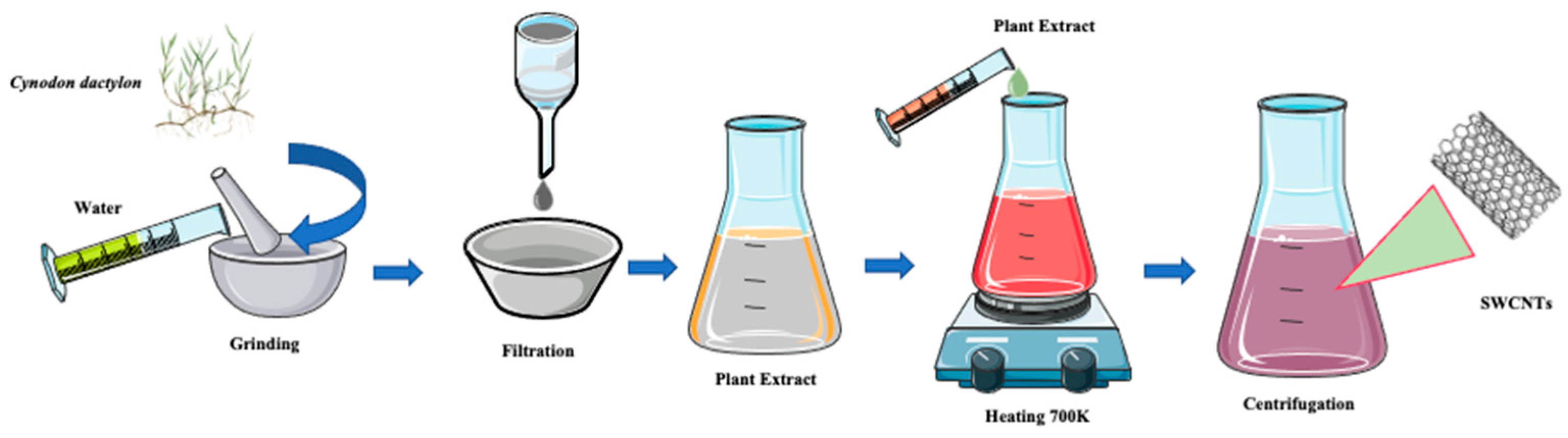 Ijms 24 01023 g003 Ijms 24 01023 g003