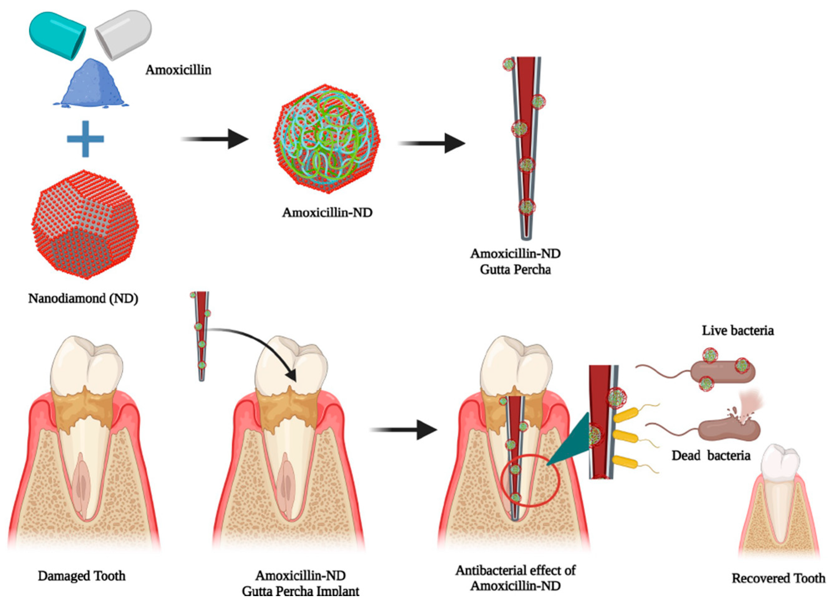 Ijms 24 01023 g006 Ijms 24 01023 g006